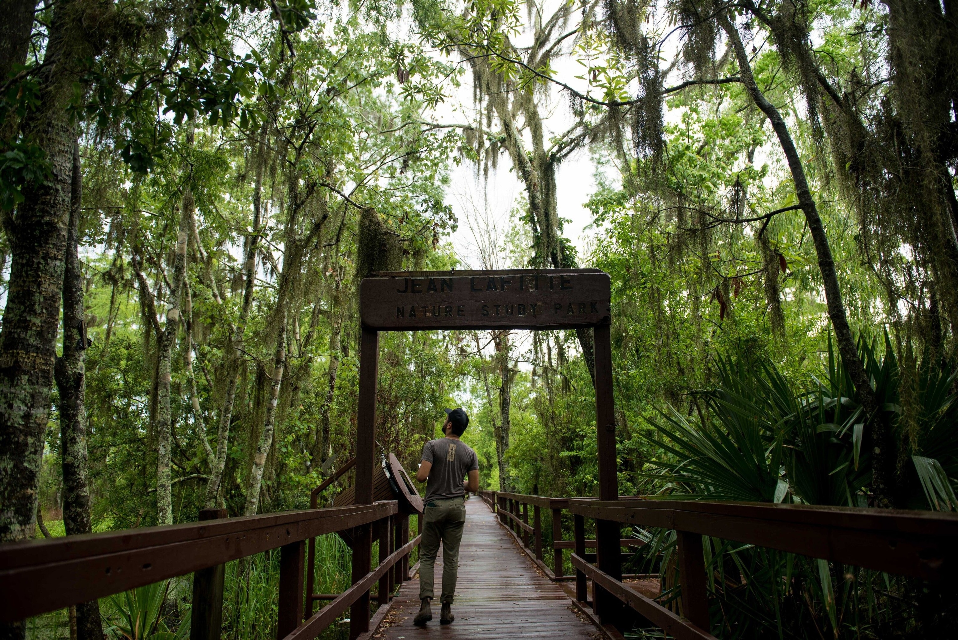 Jean explores a long wooden walkway in the forest.