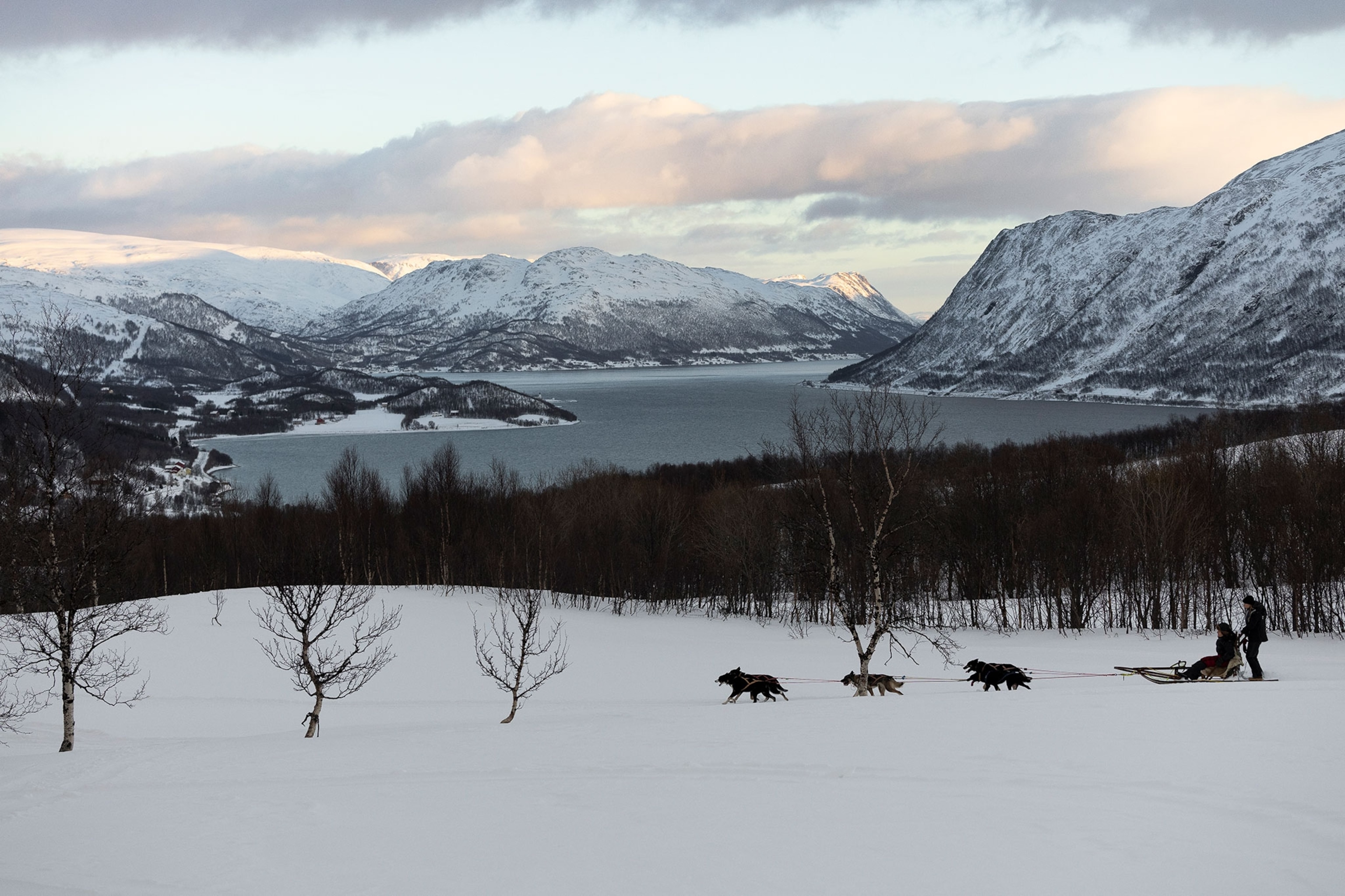 A wide scene of a body of water surrounded by snowy mountains. In front of the water is an open snowy hillside with a sled pulled by dogs moving into the frame.