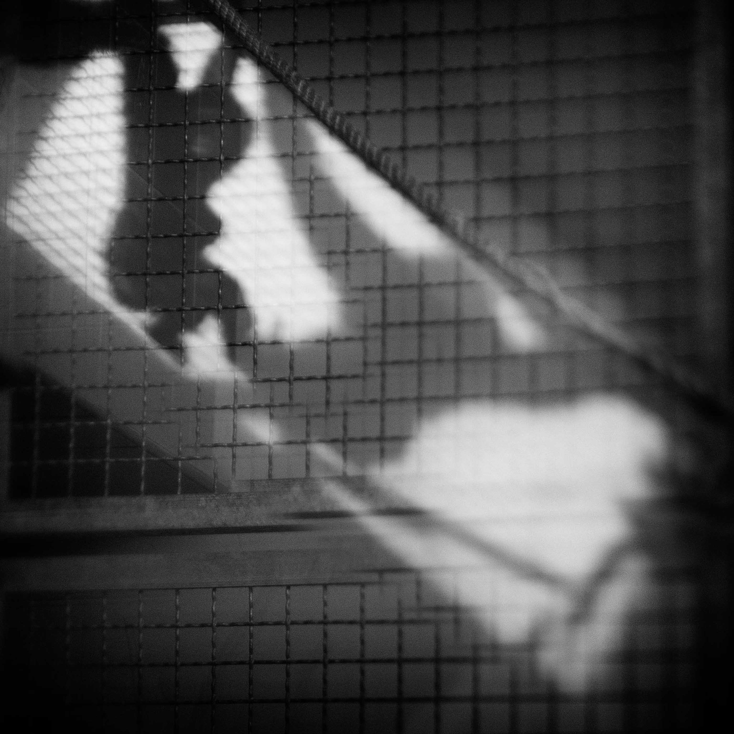 a silhouette of a monkey in a zoo enclosure