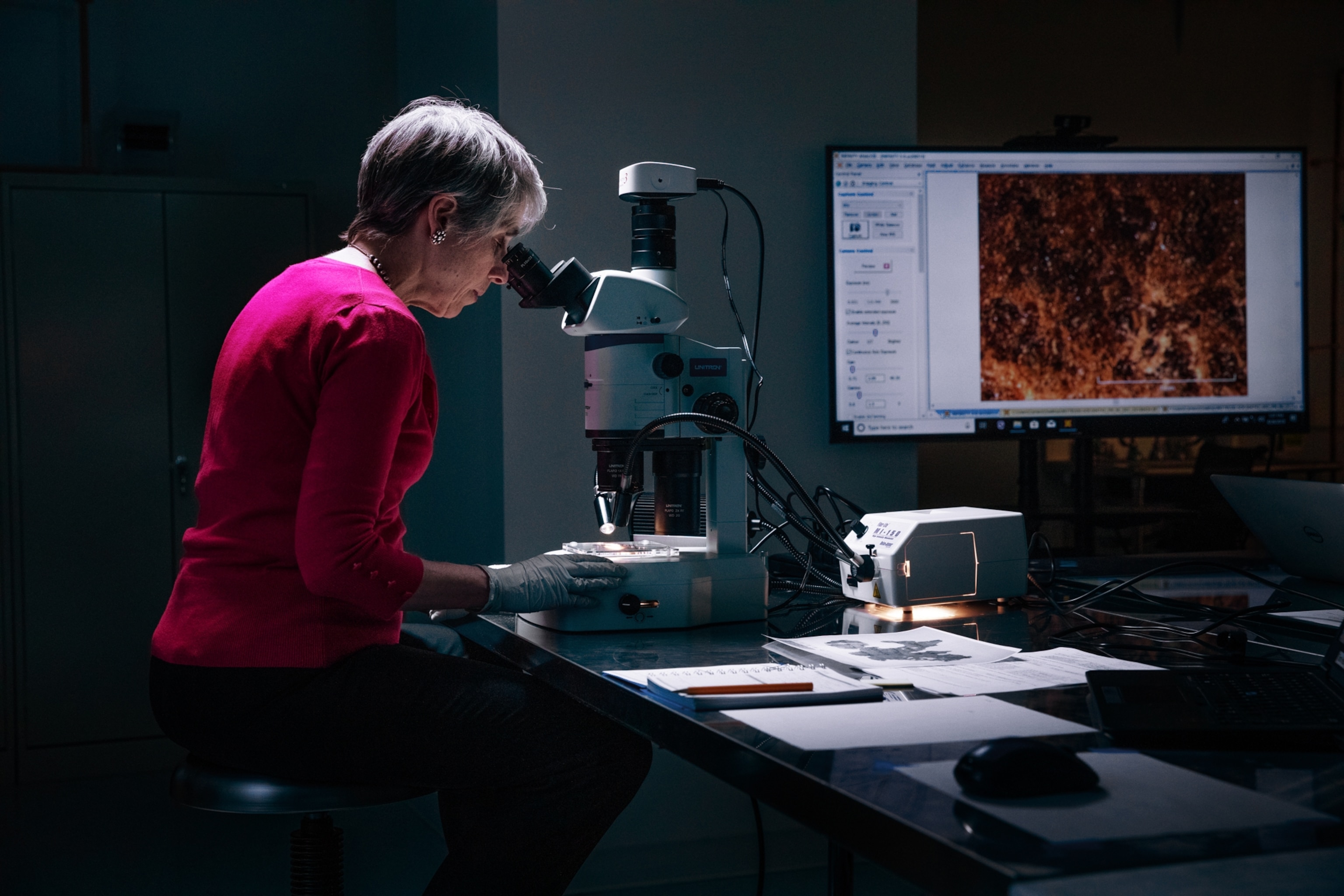 woman in pink sweater looking through microscope