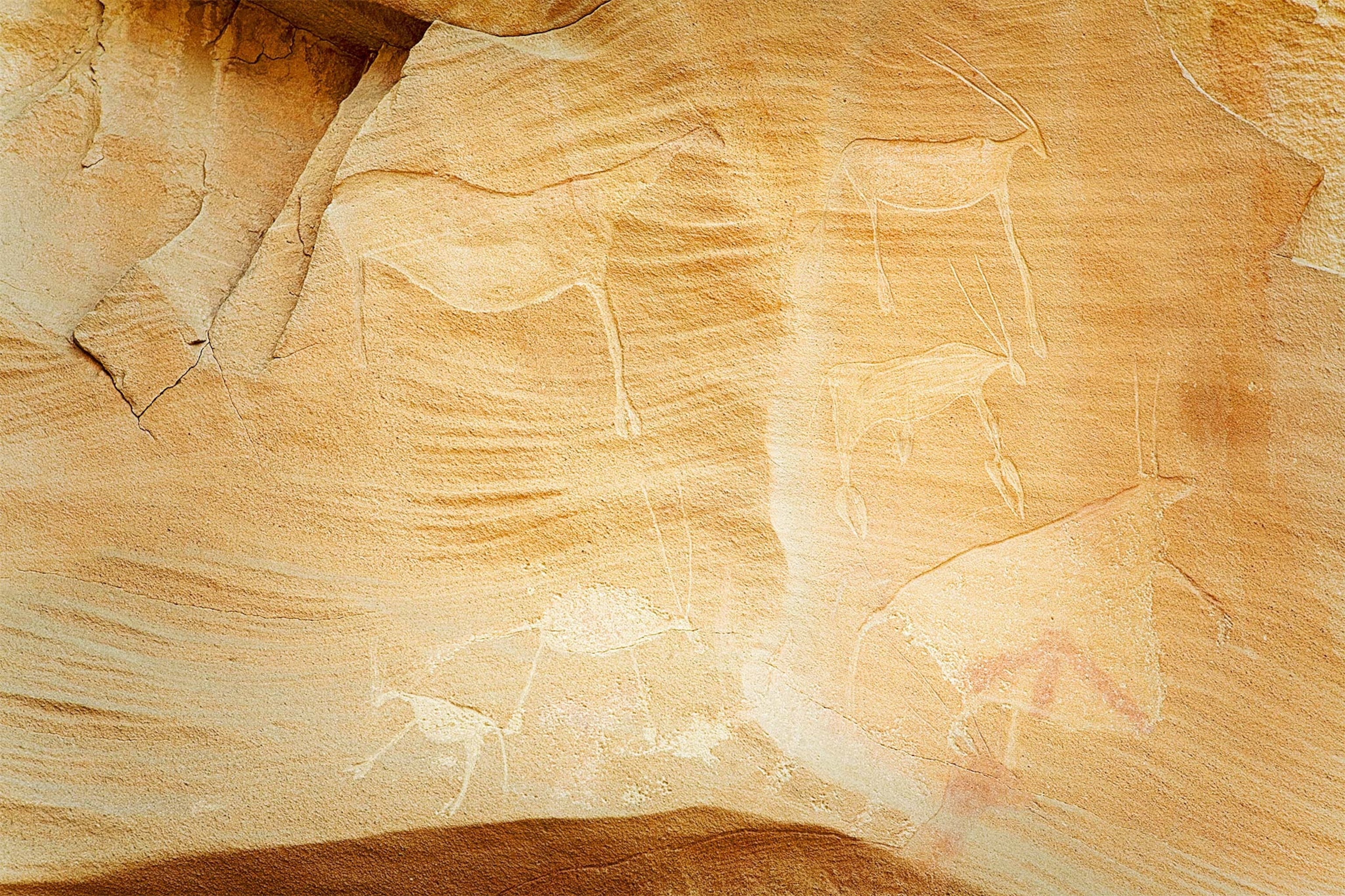 Antelopes are found on the walls of the Cave of Beasts