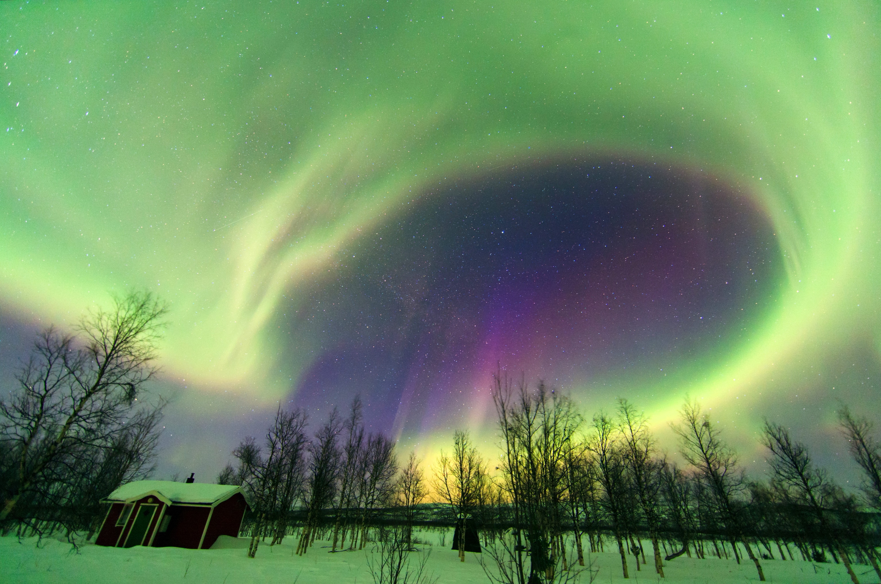 an aurora seen above trees in Lapland, Sweden
