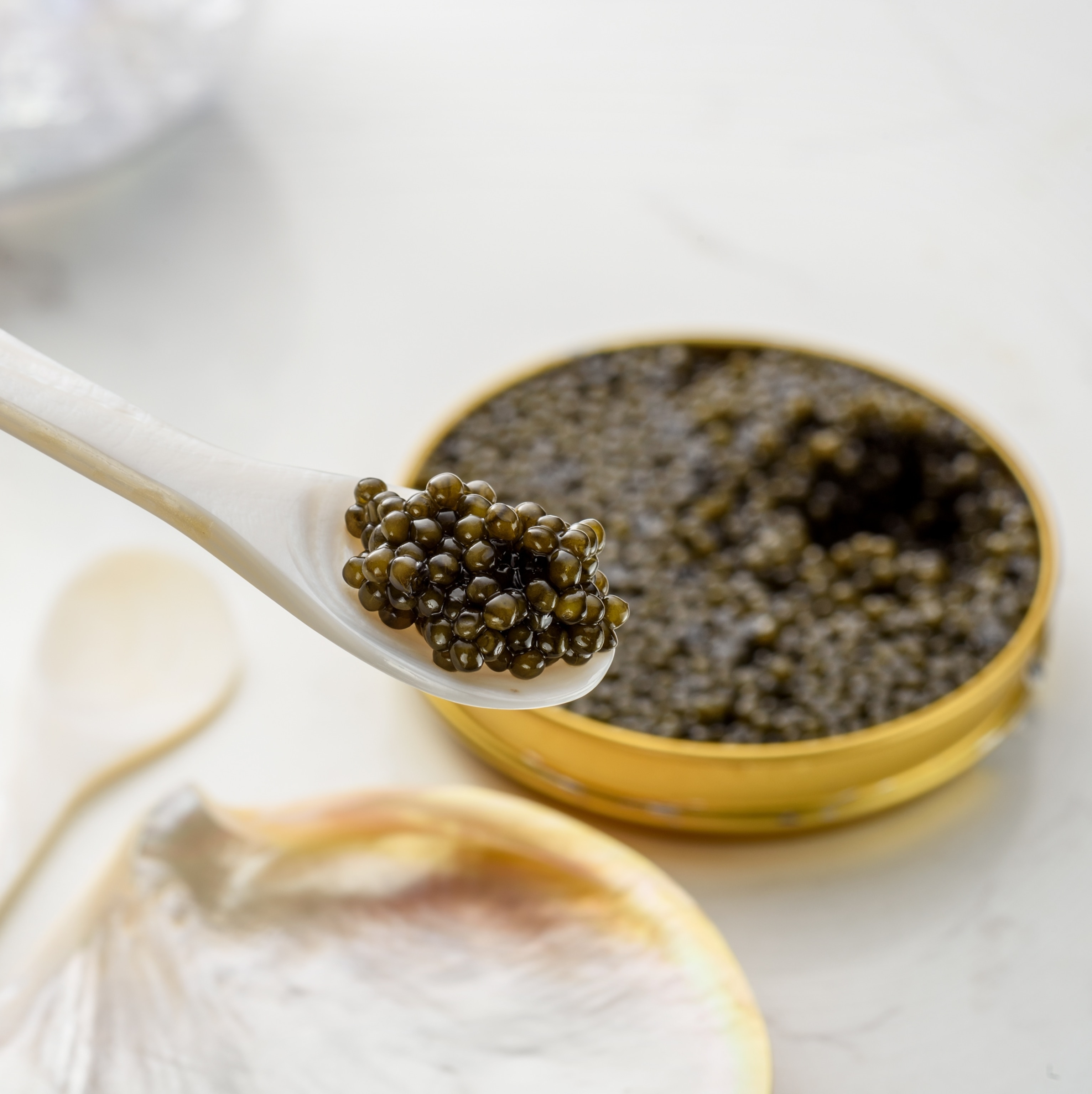 A studio photograph of a small spoonful of caviar with the tin behind.