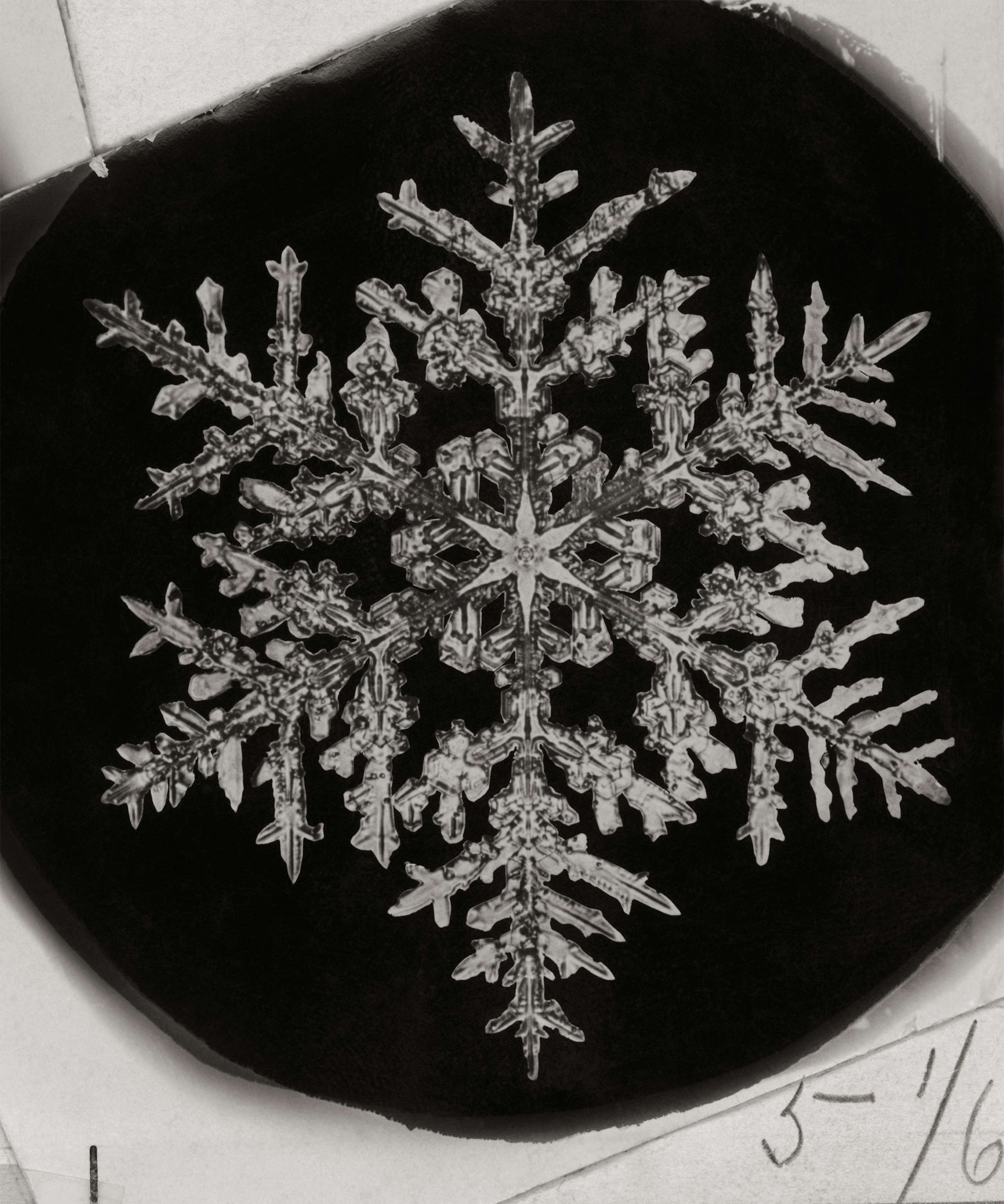 closeup of snowflake