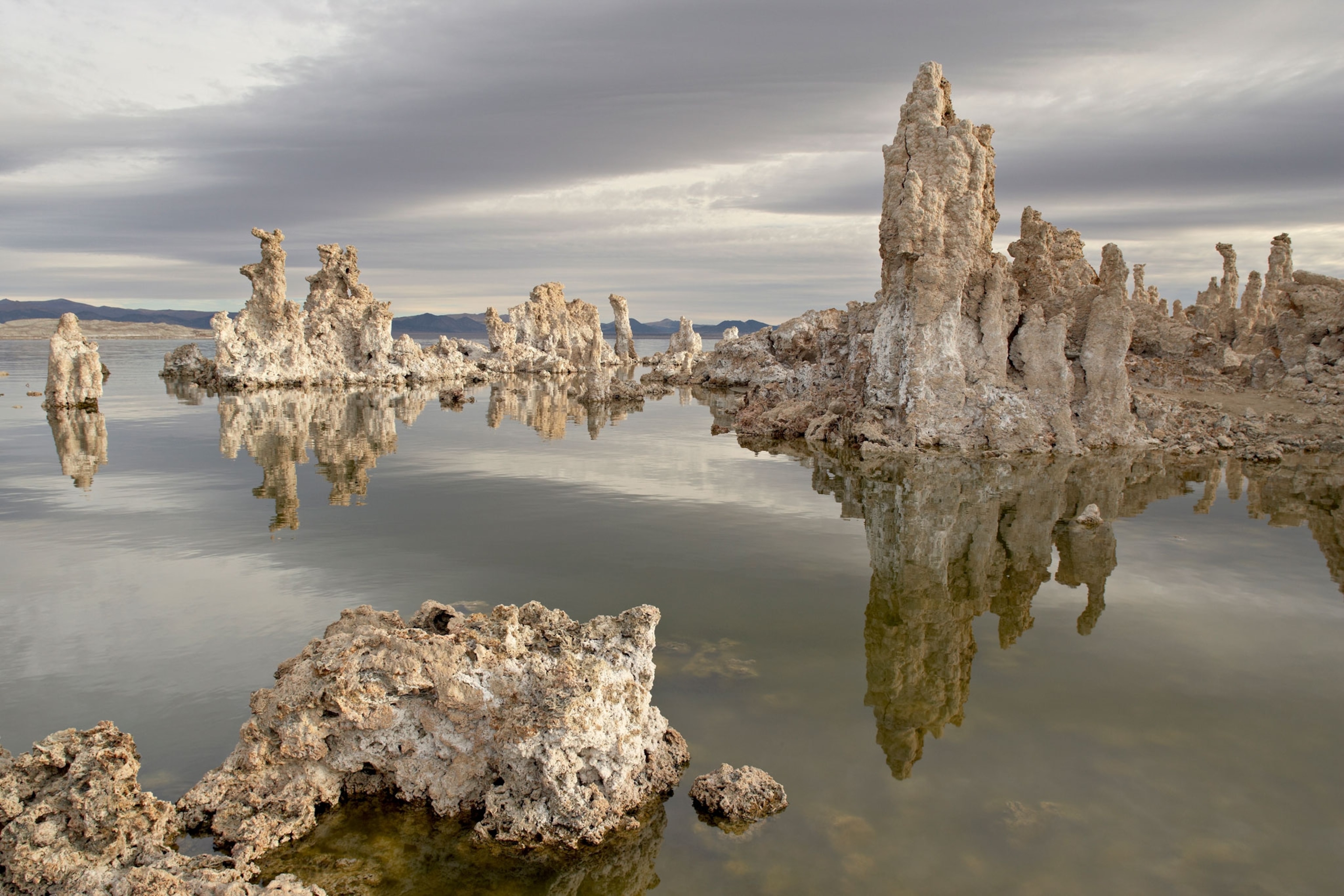 Bumpy tufa formations on a gray day at Mono Lake.