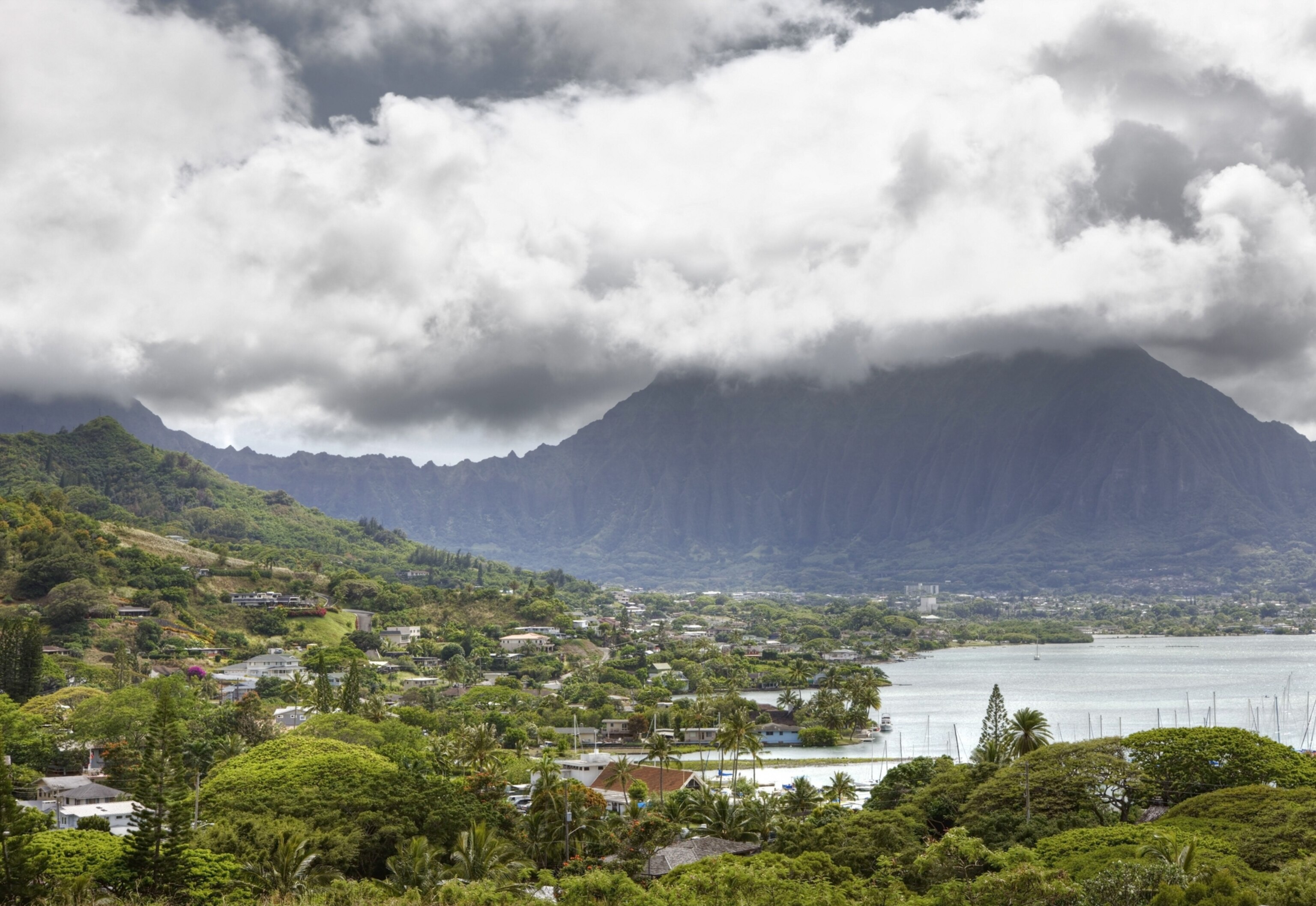 buildings and palm trees line a waterfront island town that sits at the foot of a mountain