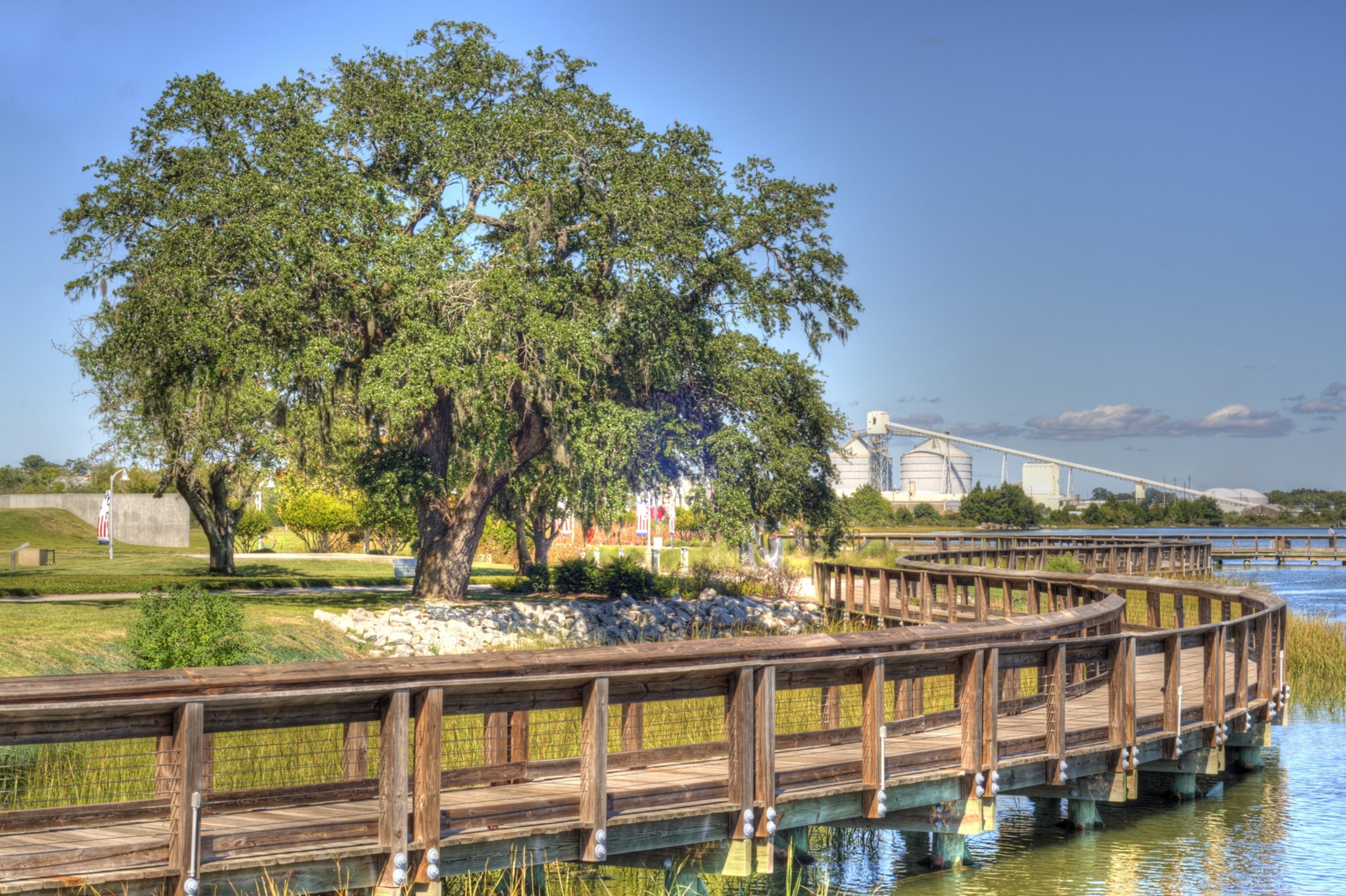 A view of a boardwalk and tree.