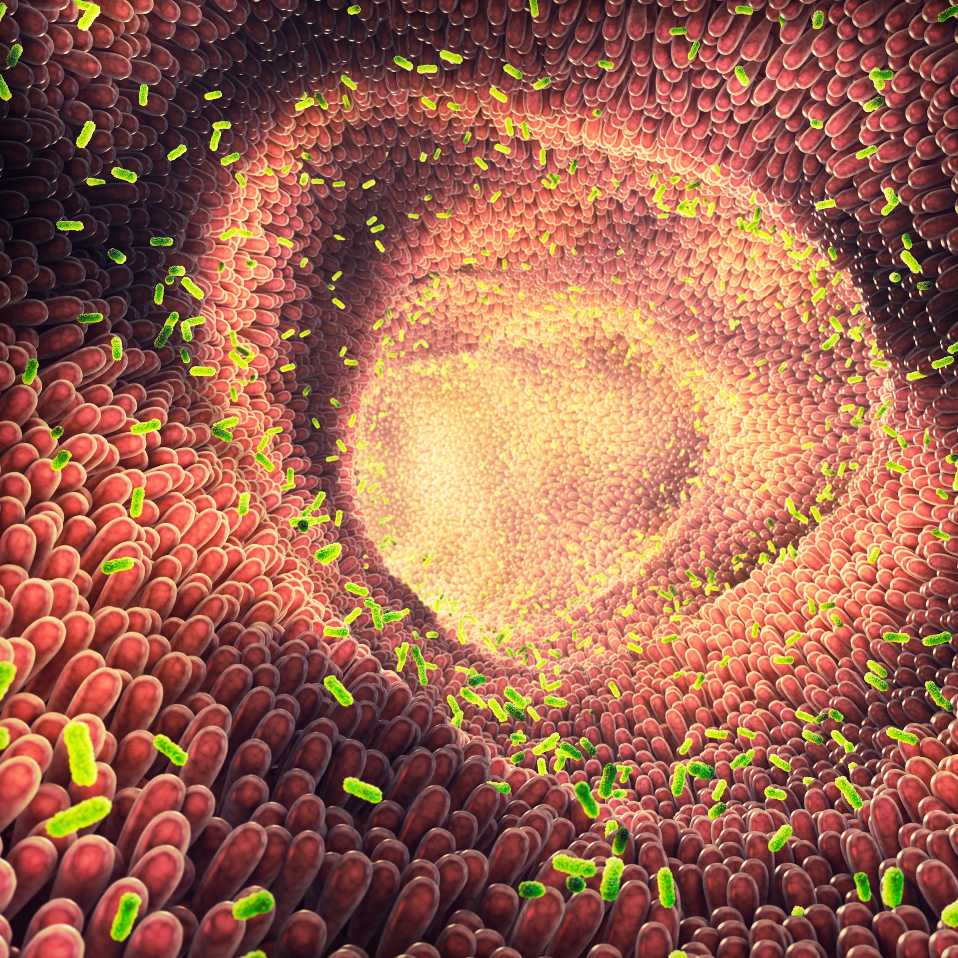 The inside of an intestinal track, which appears like a cave tunnel lined with smooth, pink rods while thousands of green bacteria float throughout.