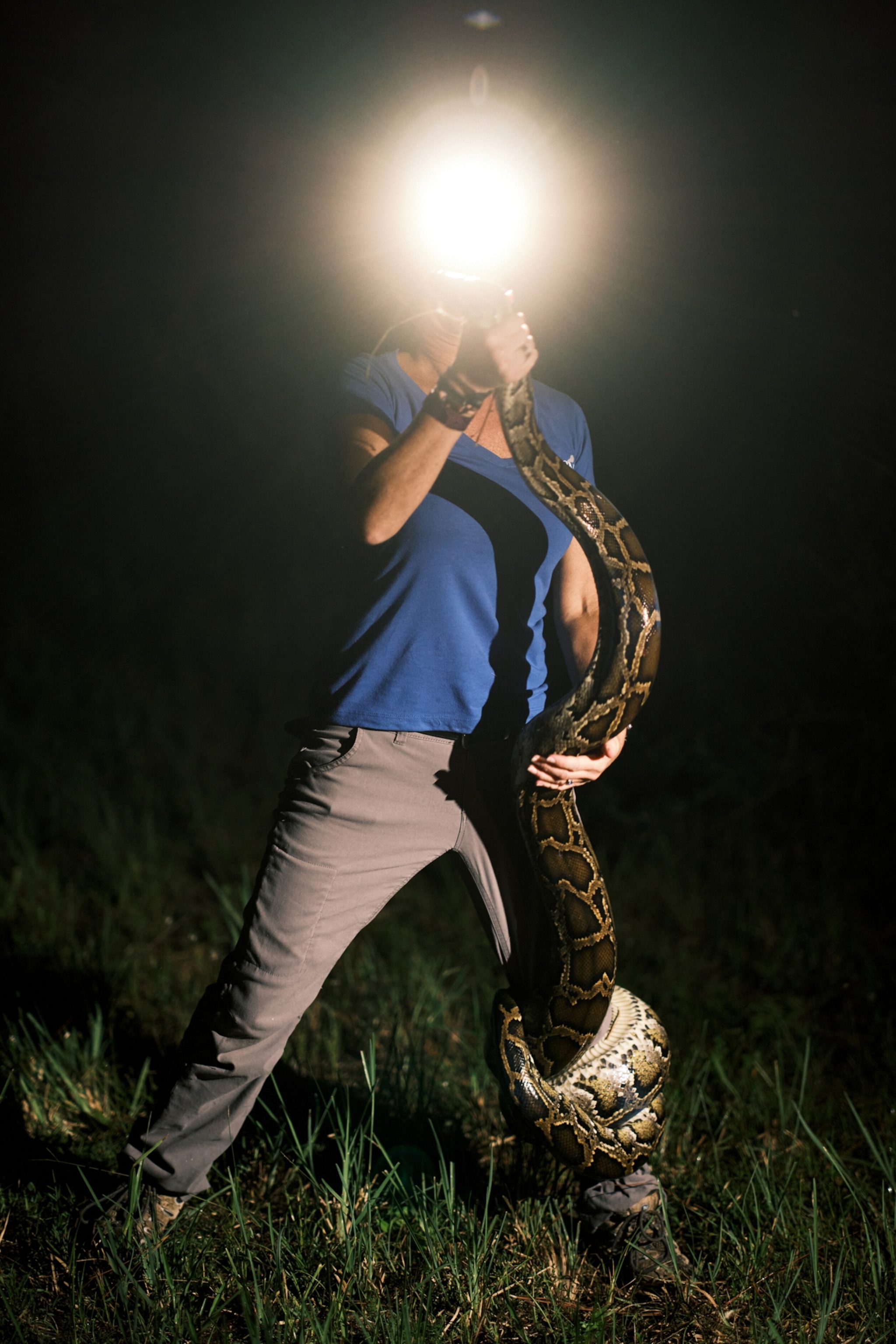 Amy Siewe wrestles with an almost 12-foot Burmese python after pulling it from the brush