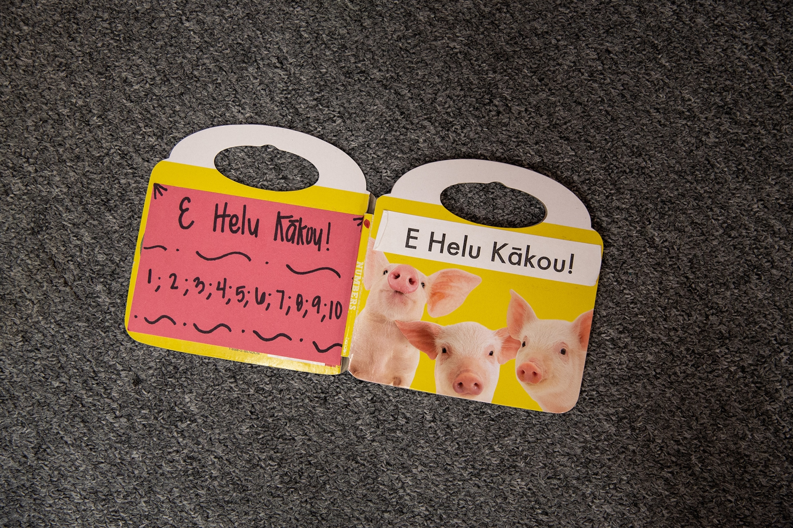 A book lays flat on the ground showing its pages one side has hand written text on red construction paper the other a picture of piglets.