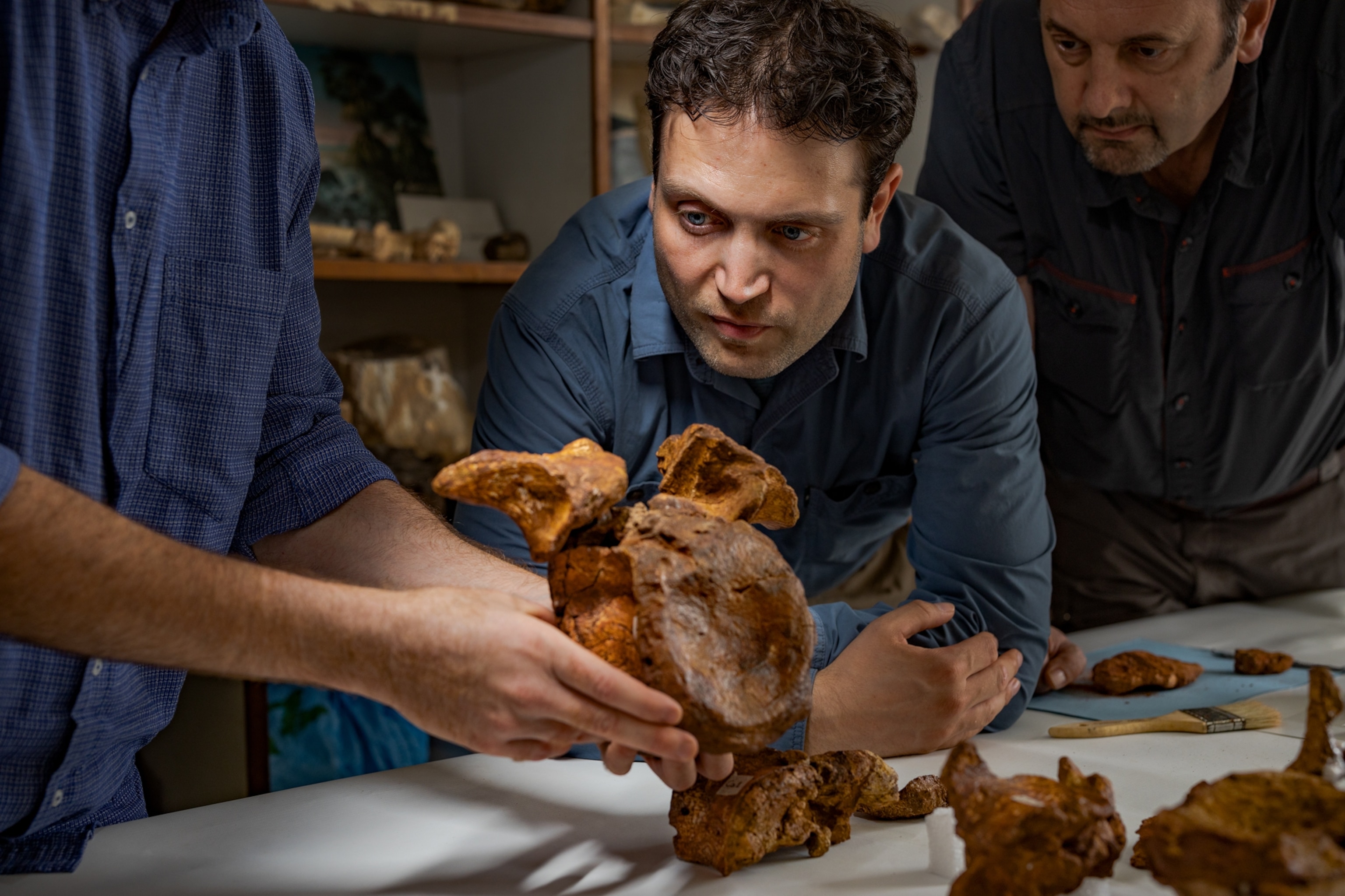 a man looking at a large fossil