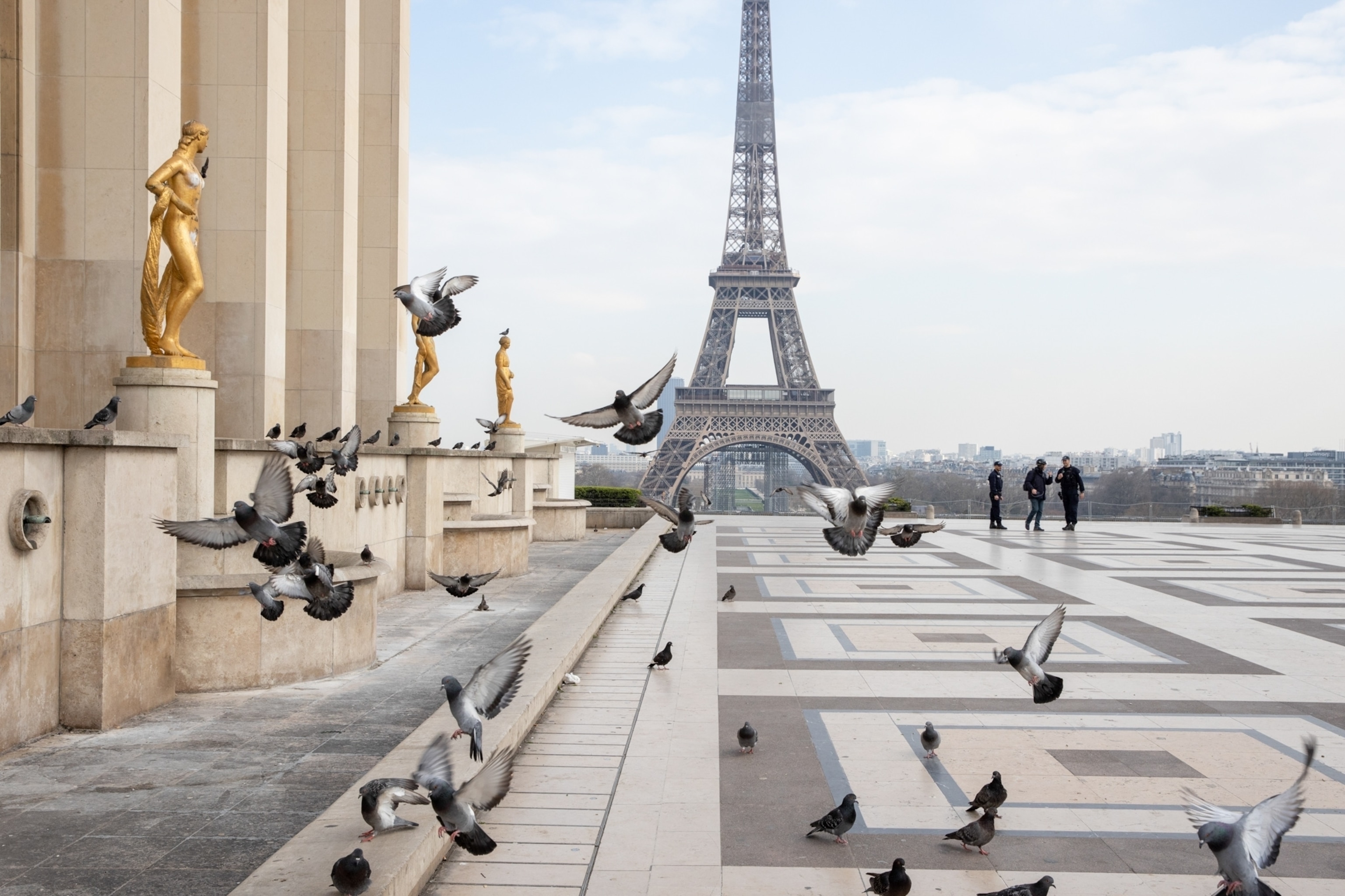 piegons flying with the Eiffel tower and three people in the back