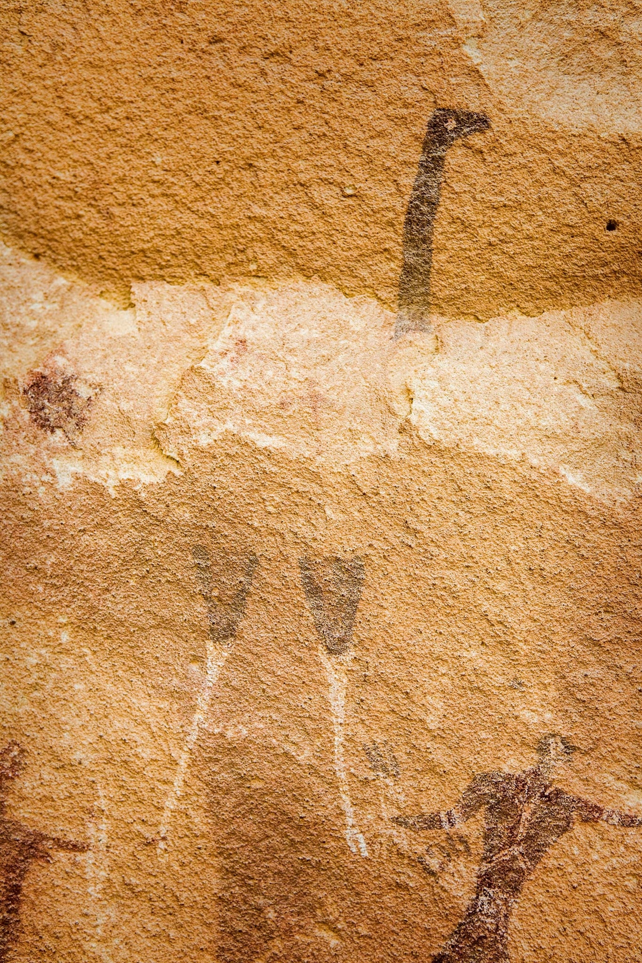 A giraffe-like figure with a long neck is also in the Cave of Beasts.