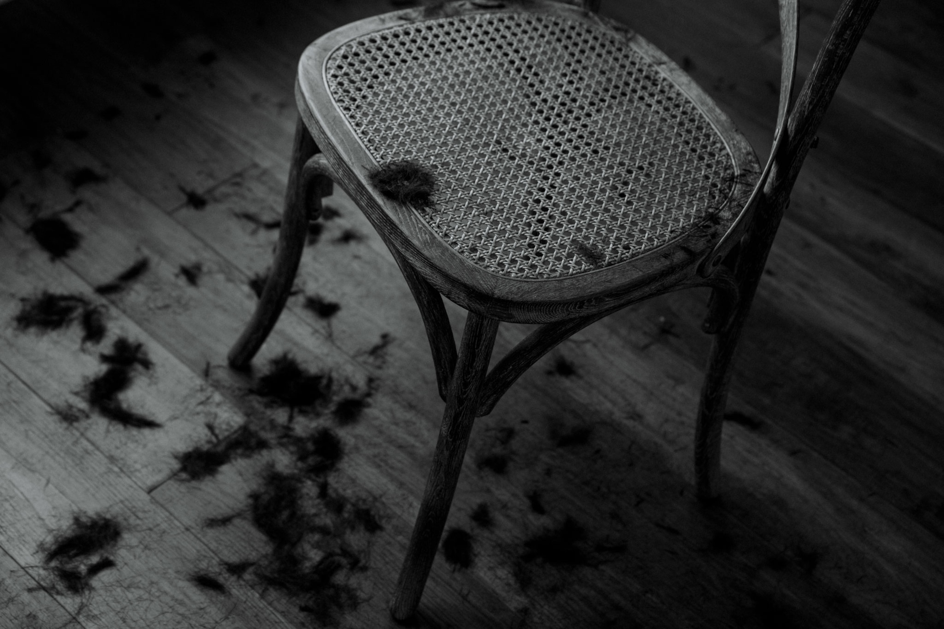 hair clippings on the floor