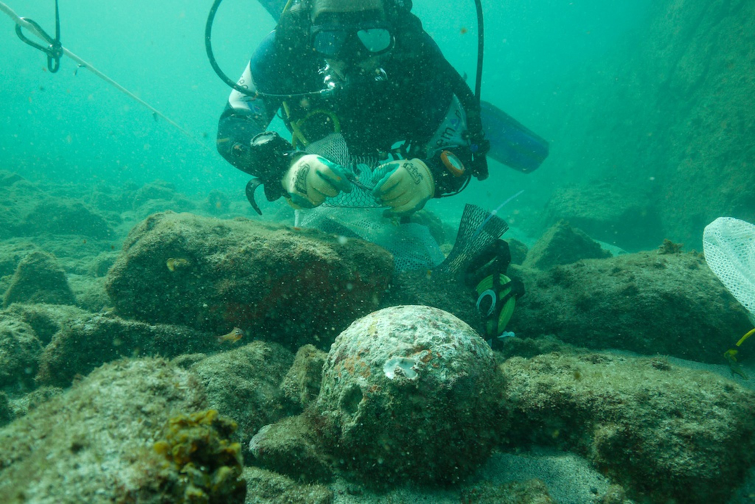 cannonball