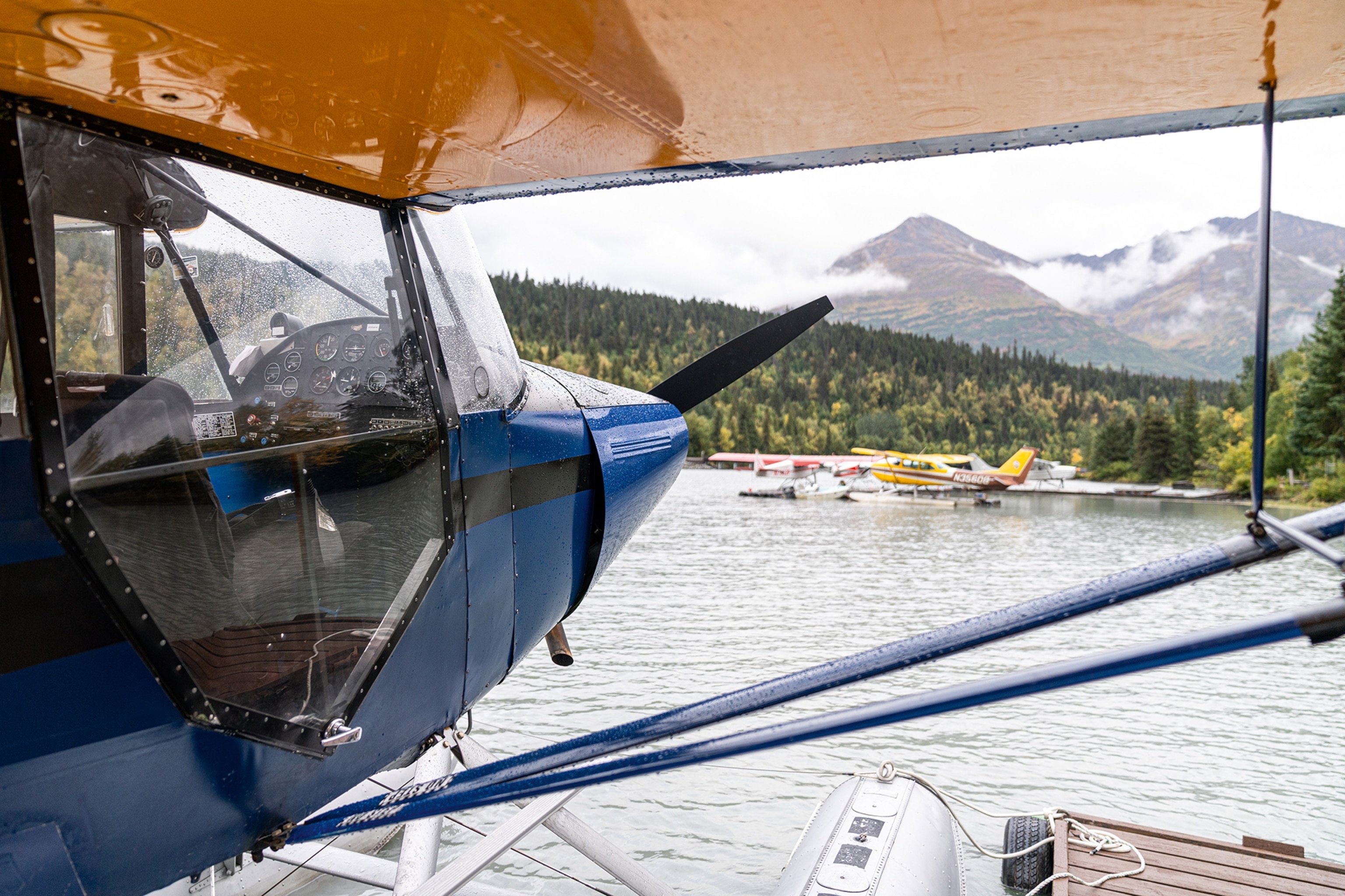 A view from the side of a seaplane onto a lake with other seaplanes and a forest in the background.