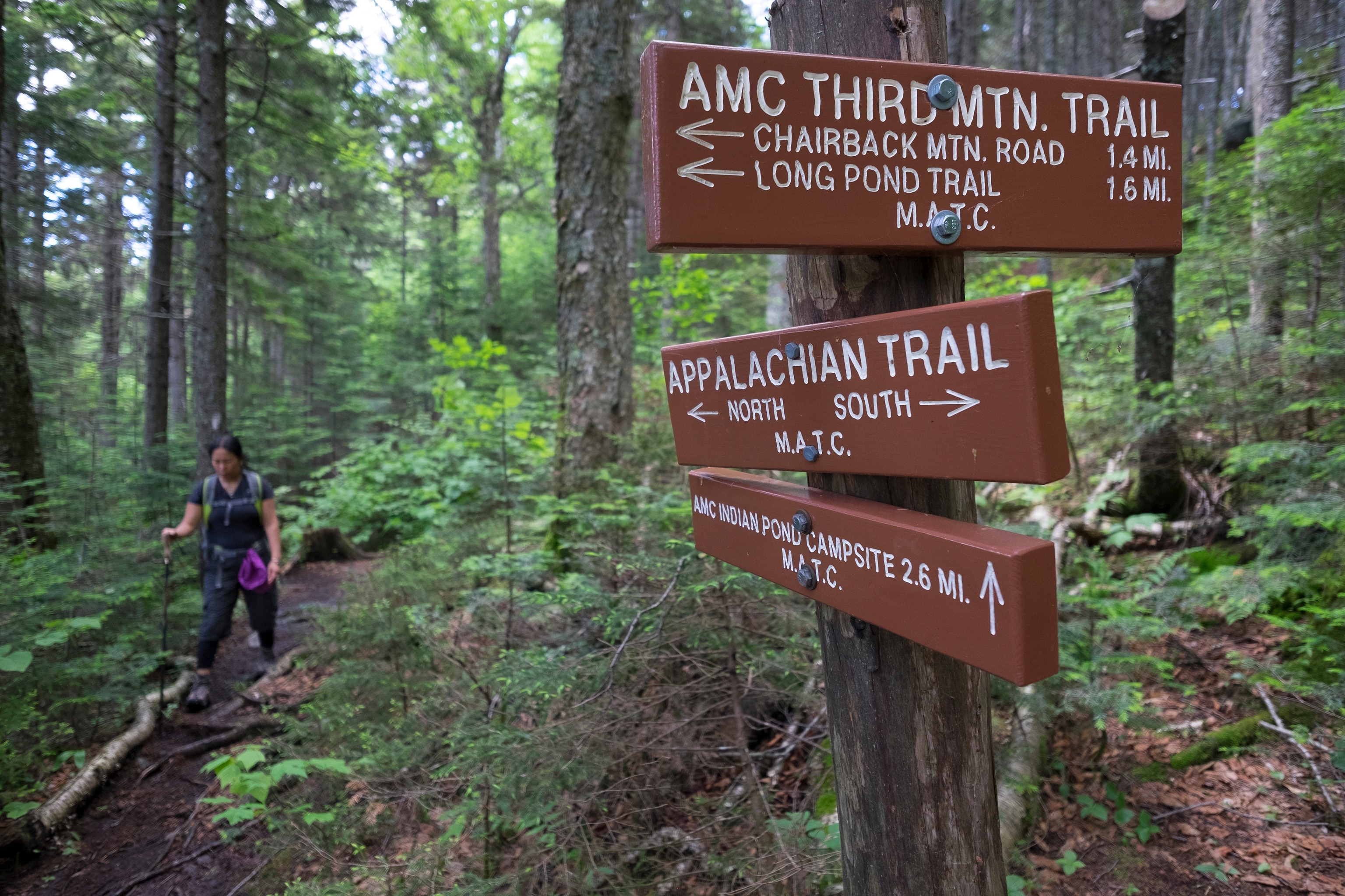 A woman hikes the Third Mountain trail 100-Mile Wilderness Area and the signs for the trail are nailed to a tree in the foreground