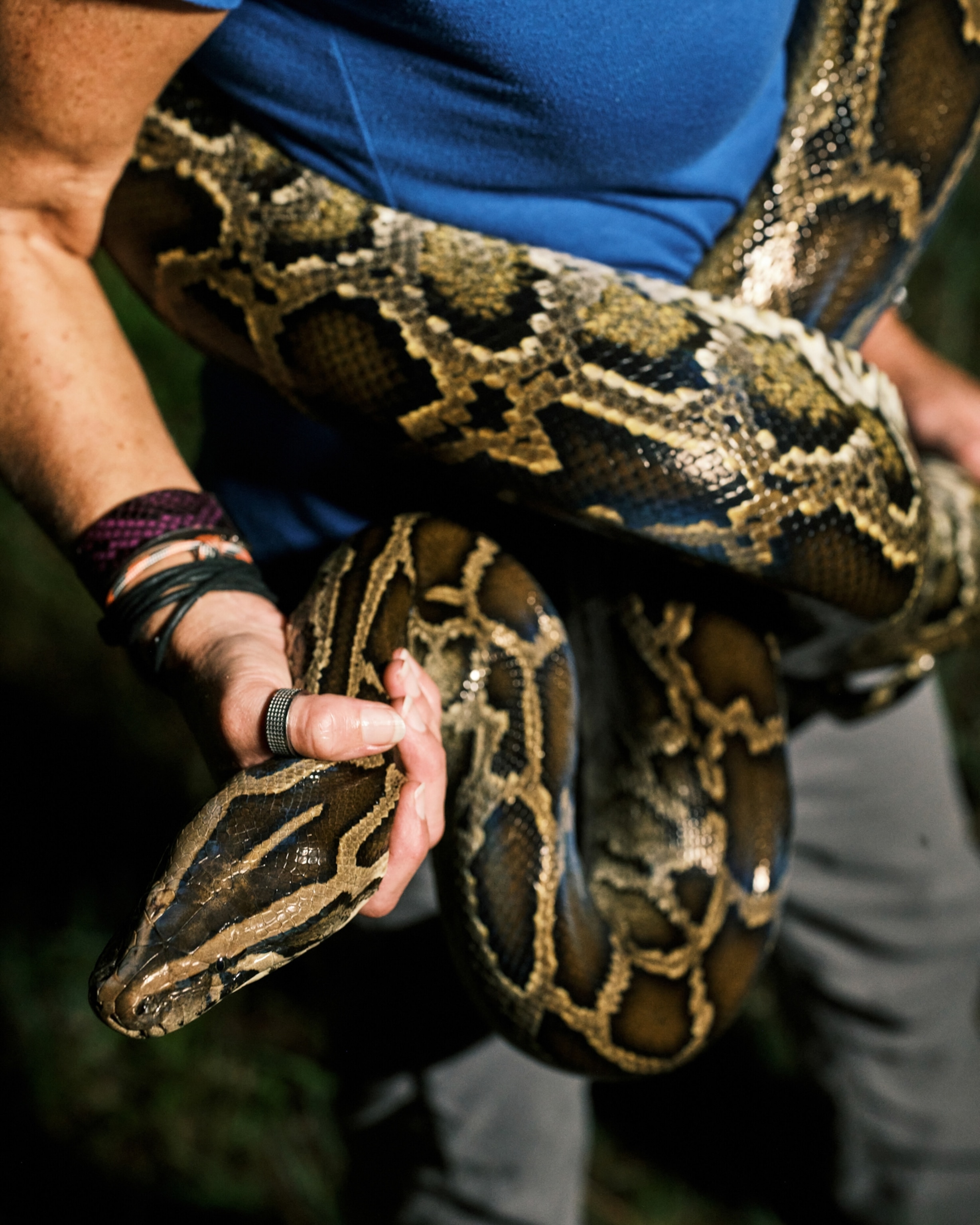 A python hunter poses for a portrait with a 12-foot Burmese python she captured.