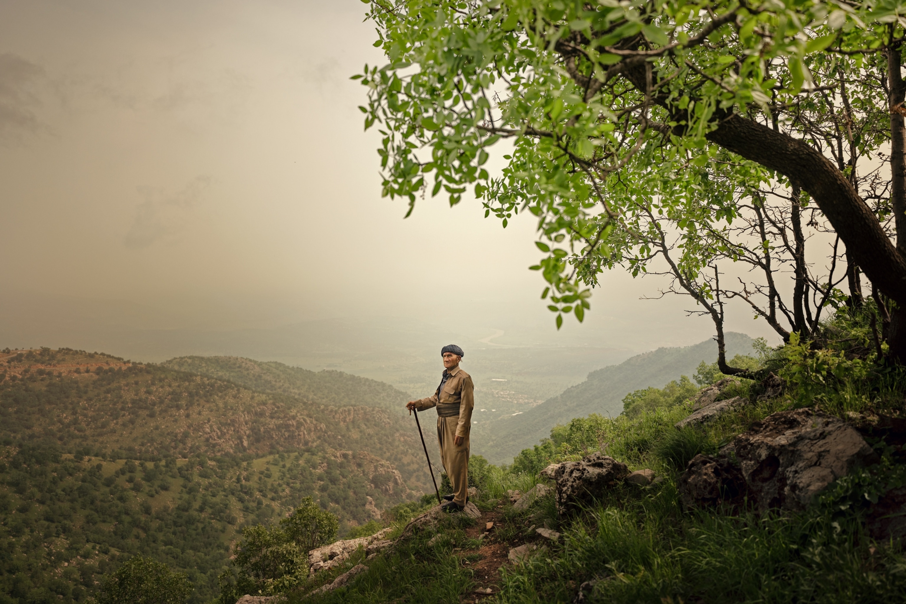 Framed by a nearby arching tree, a man with a cane stands center on the edge a rocky cliff looking out at the surrounding mountains.