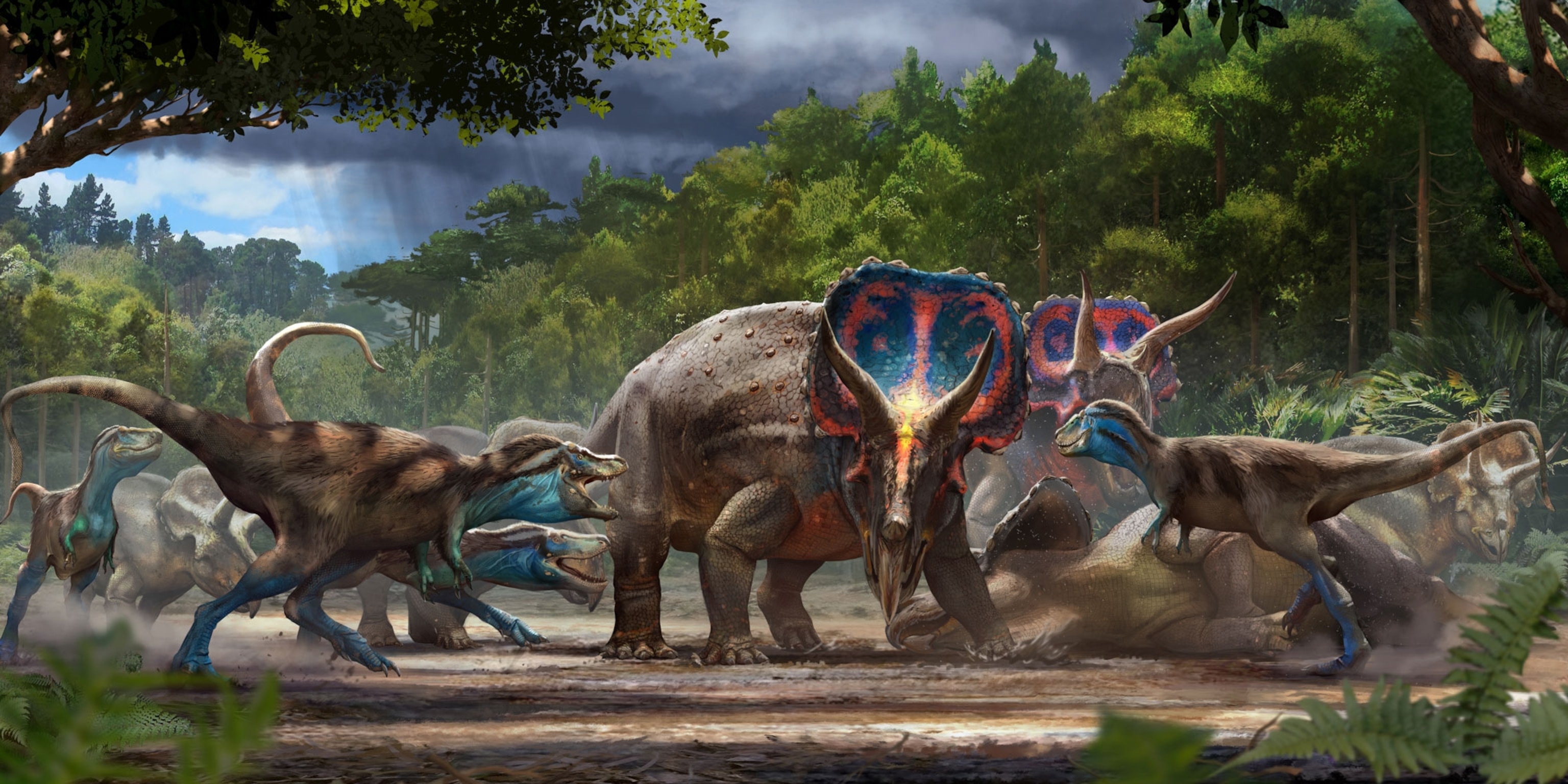 T. rex and Triceratops fighting