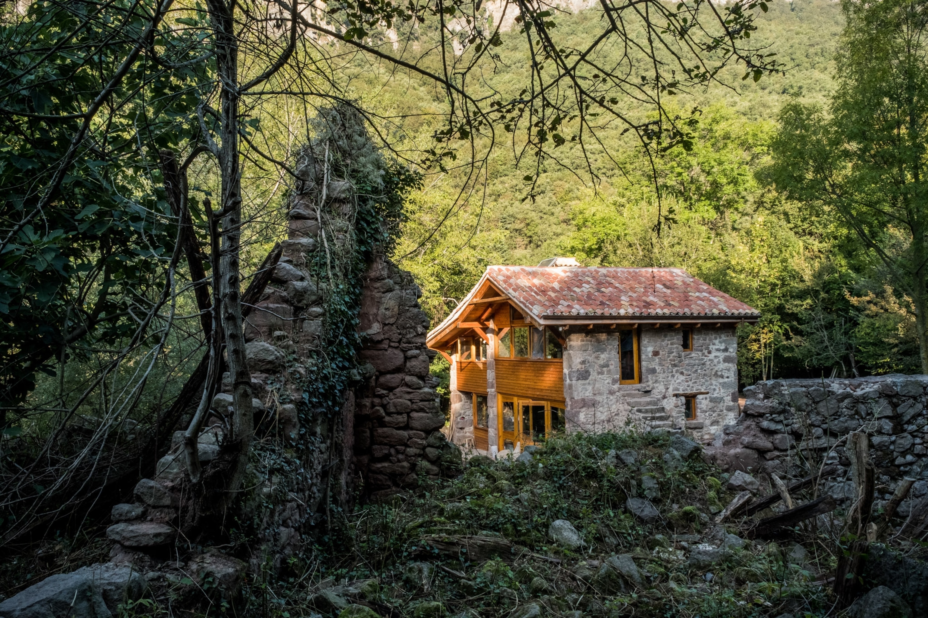 Photograph of house in the forest.