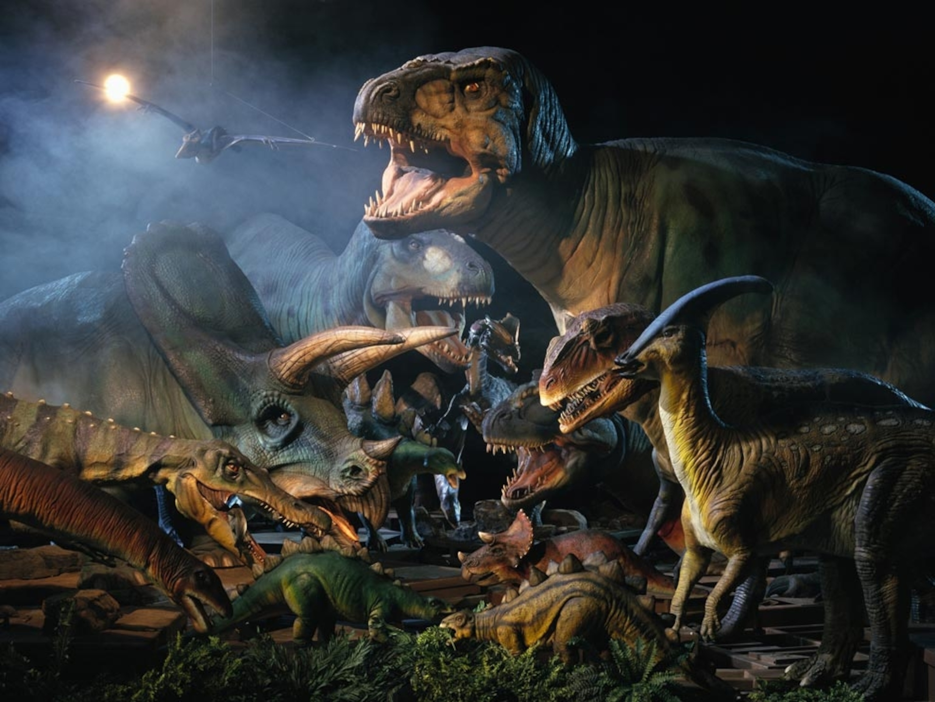 Dinosaur models.