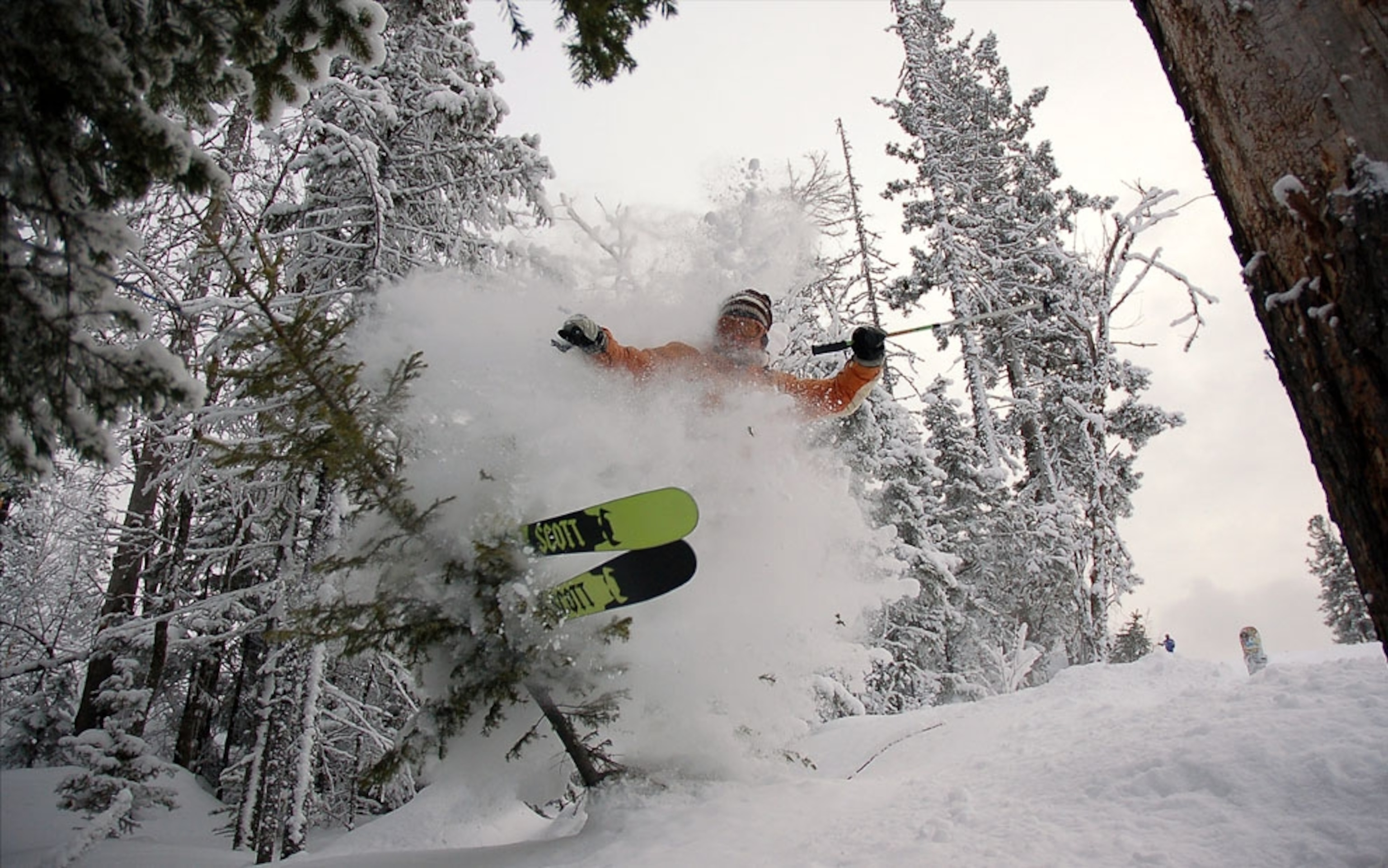 Skier in woods