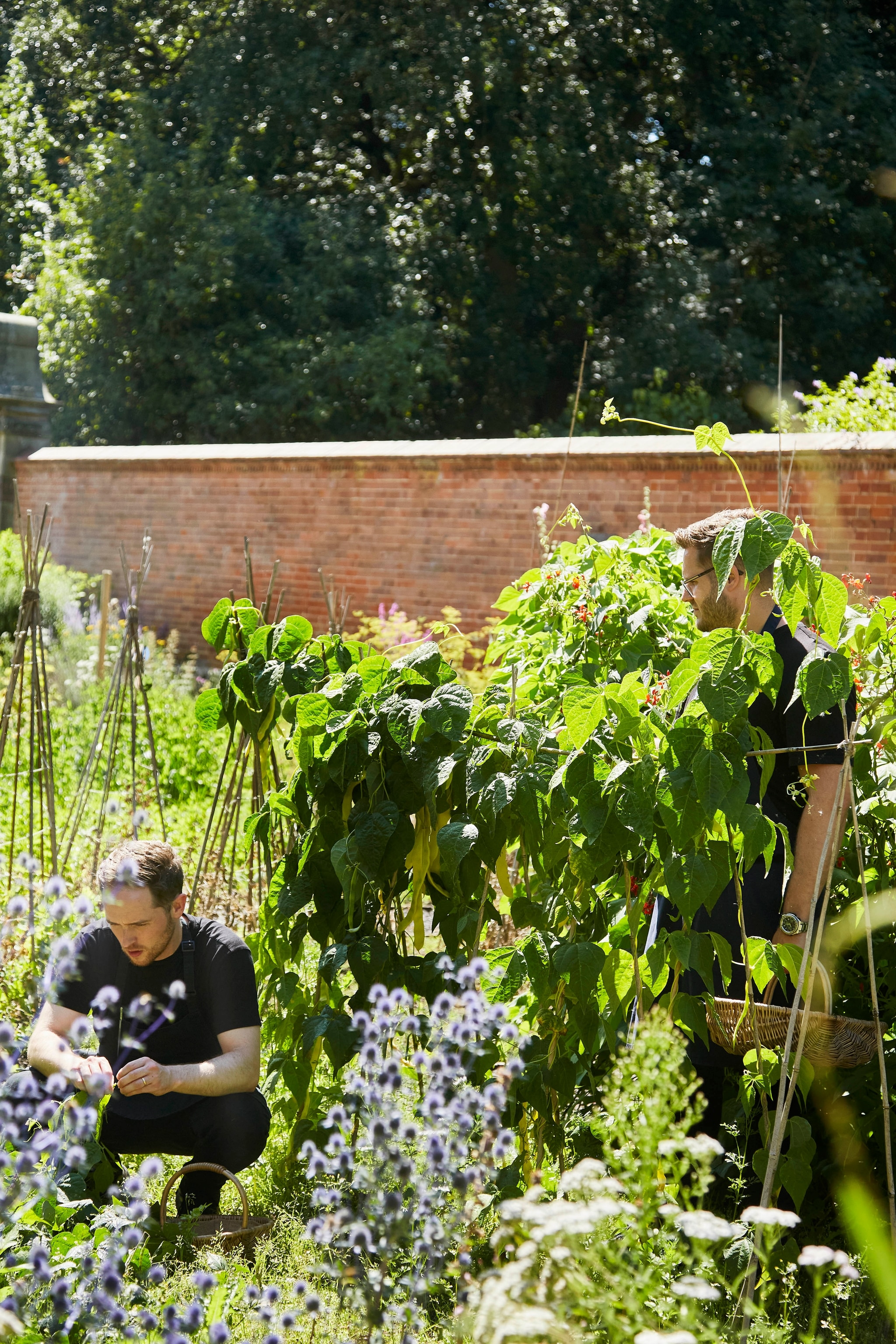 Man in garden