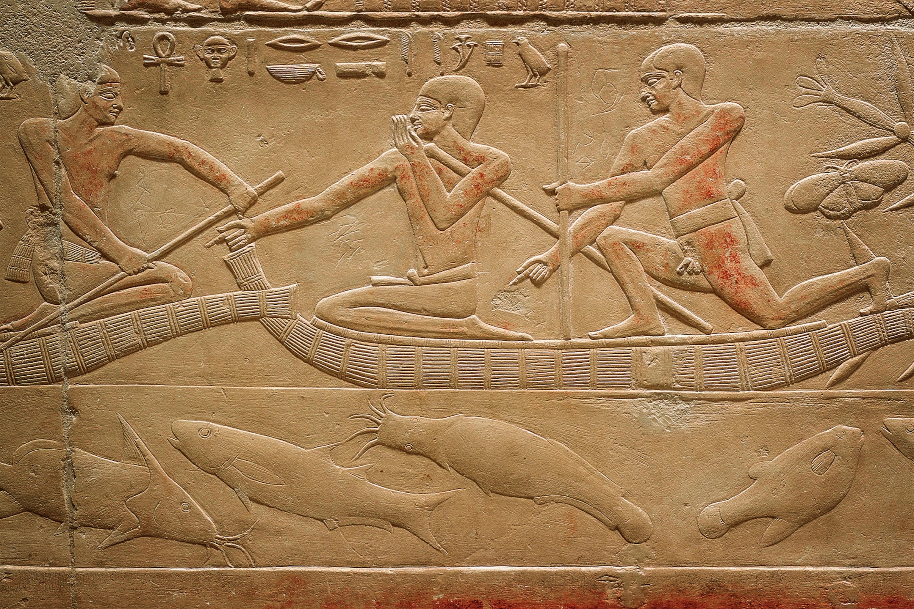Barbeled catfish swim under a boat made of papyrus reeds in this 6th-dynasty relief from the Mastaba of Kagemni at Saqqara. It's estimated to be from the late third millennium B.C.