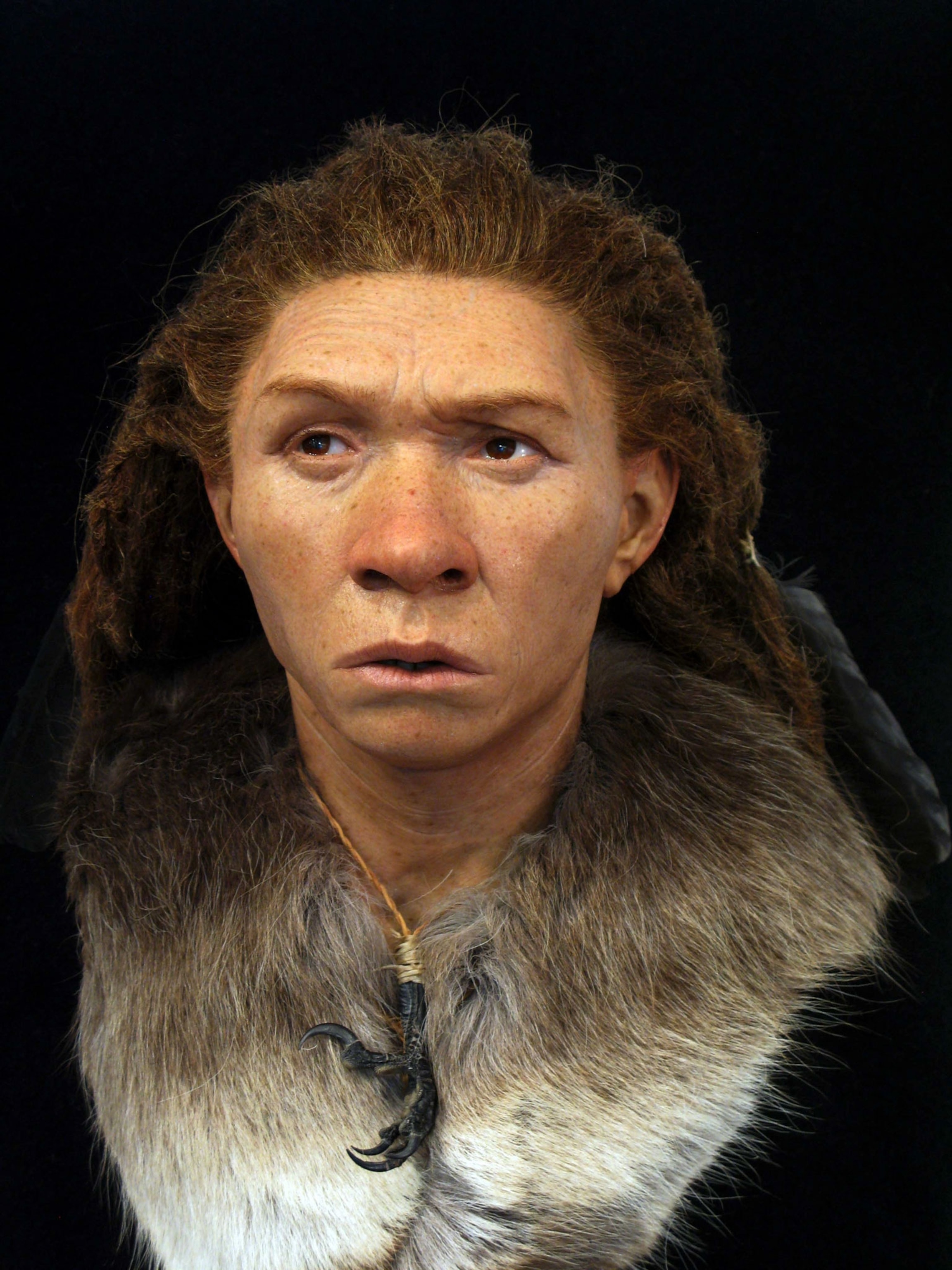 the facial construction of a woman from Sussex England