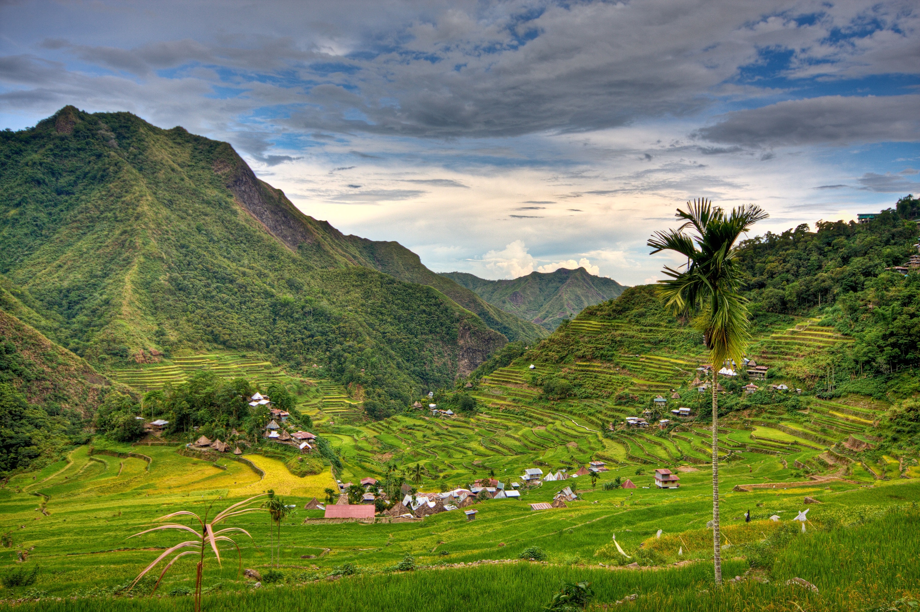 rice terraces in Banaue, Philipines