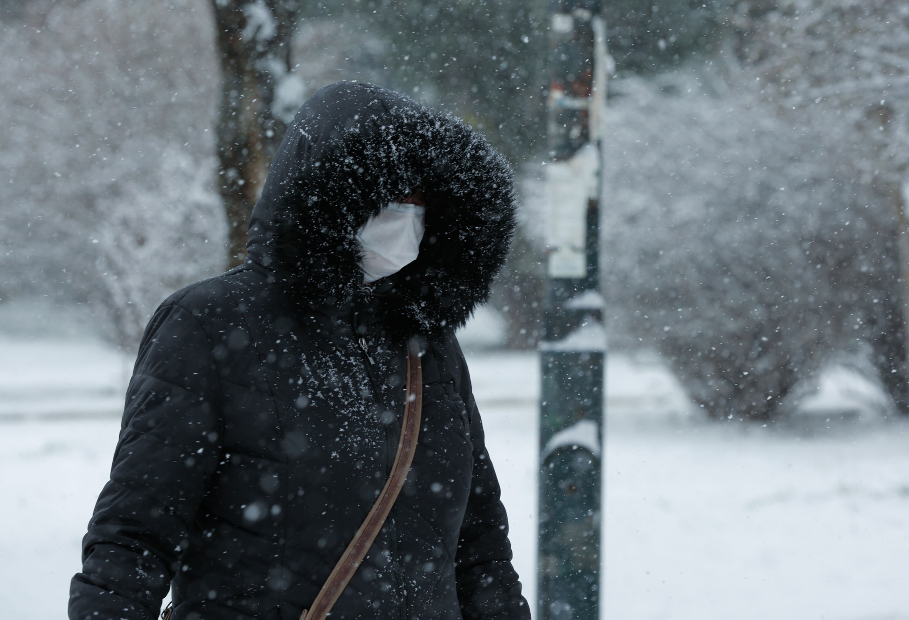 Person wearing a mask in the snow