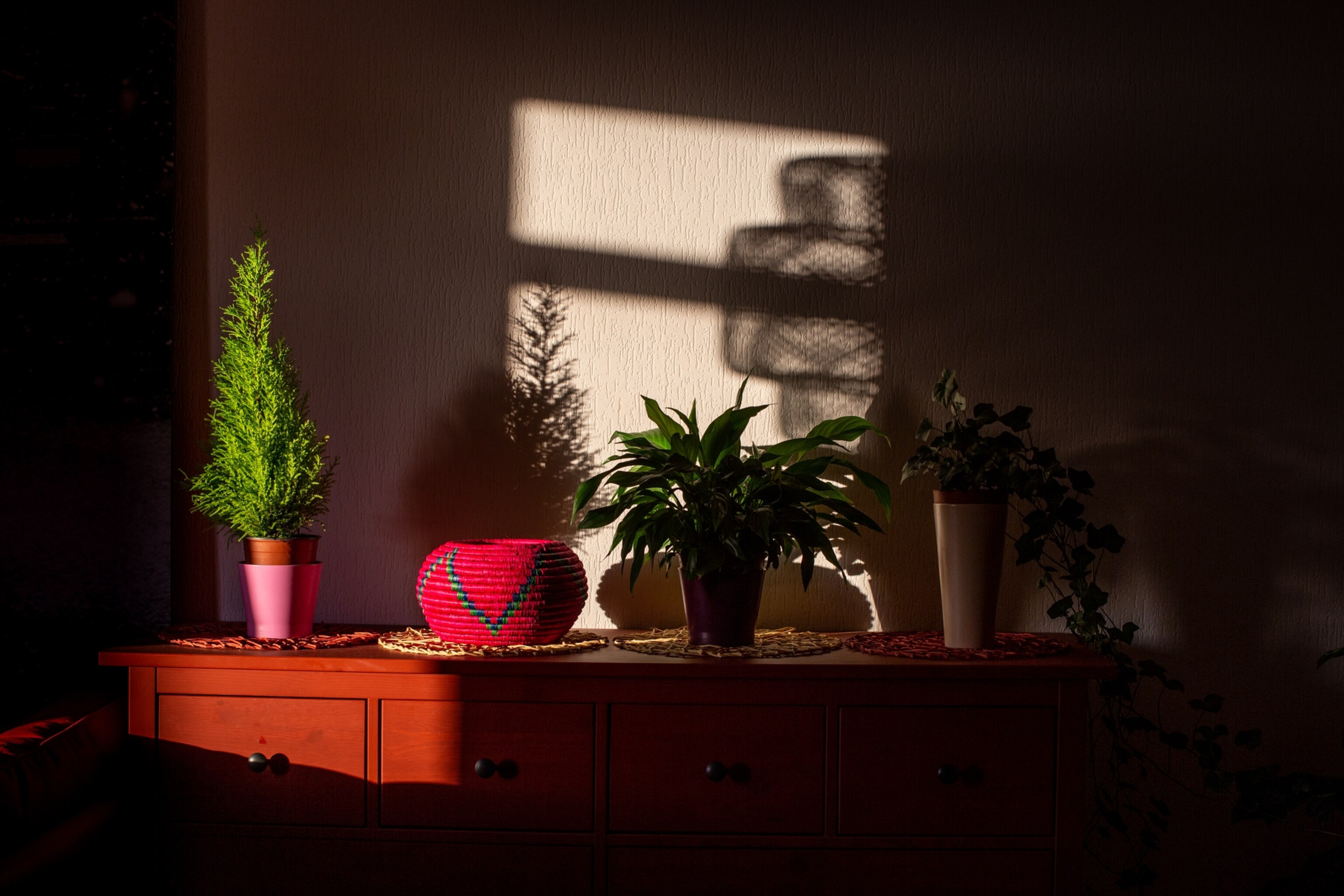 a dresser top with sunlight coming in from a window