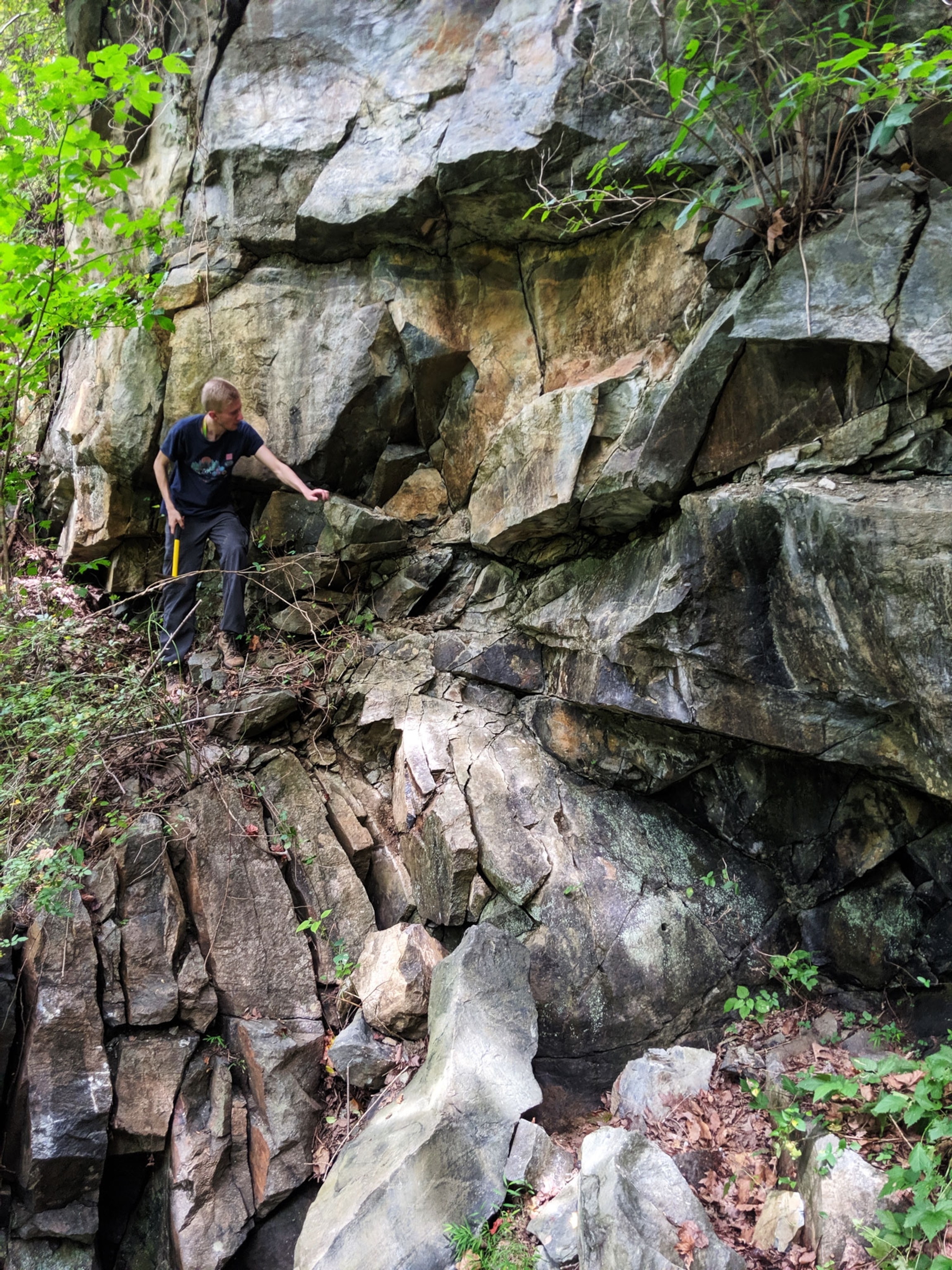 scientist looking at the rock types