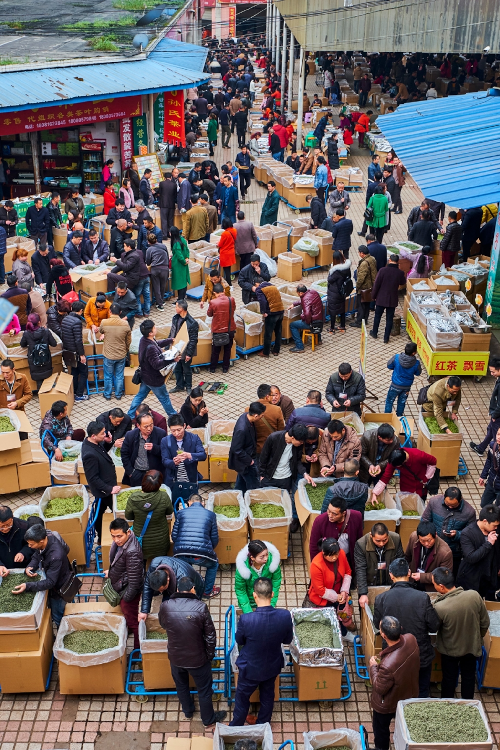 wholesale green tea market in Mingshan, Sichuan province, China