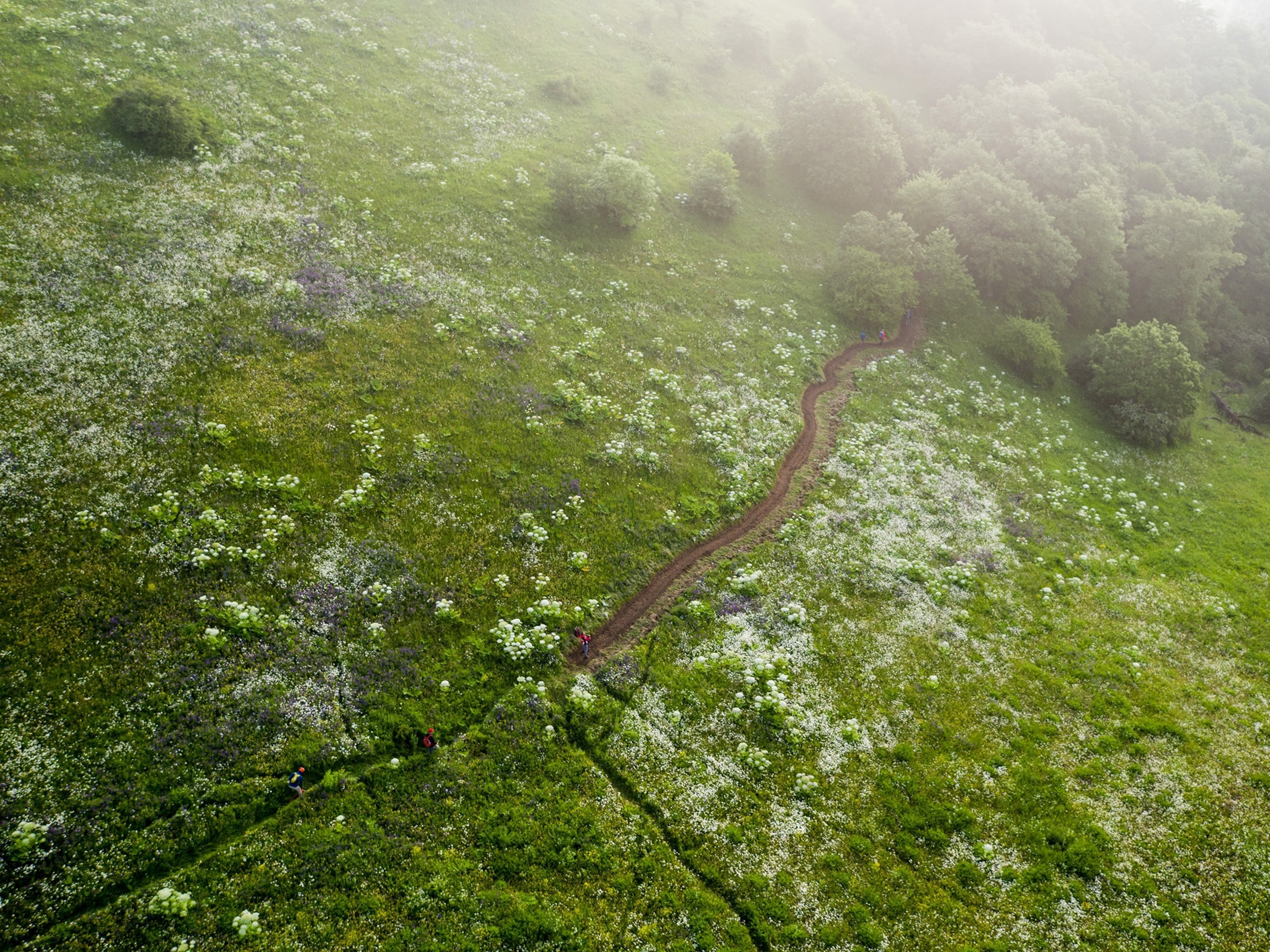 An aerial view of Dilijan Trailbuilding