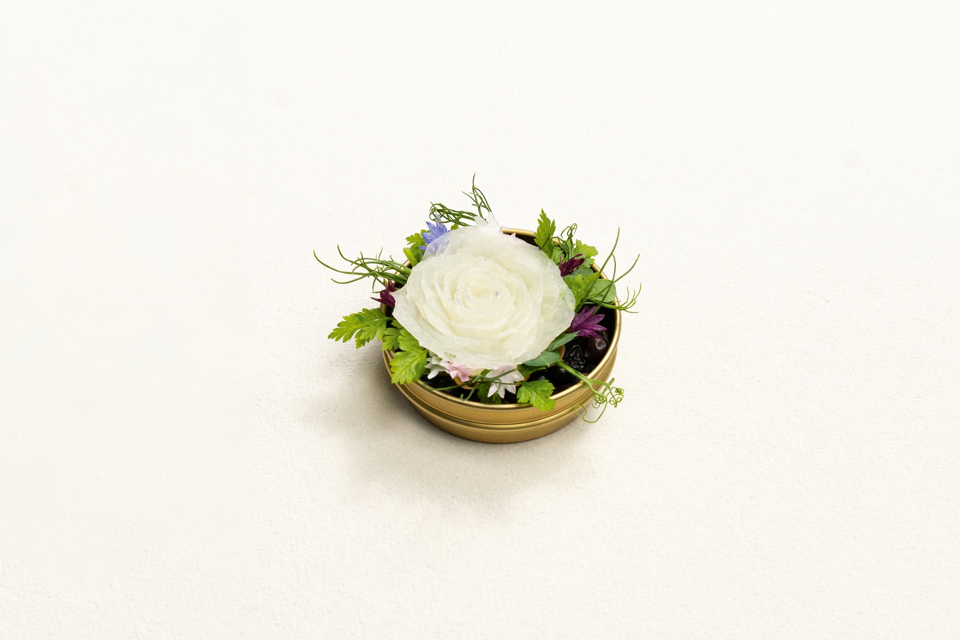 radish on salad