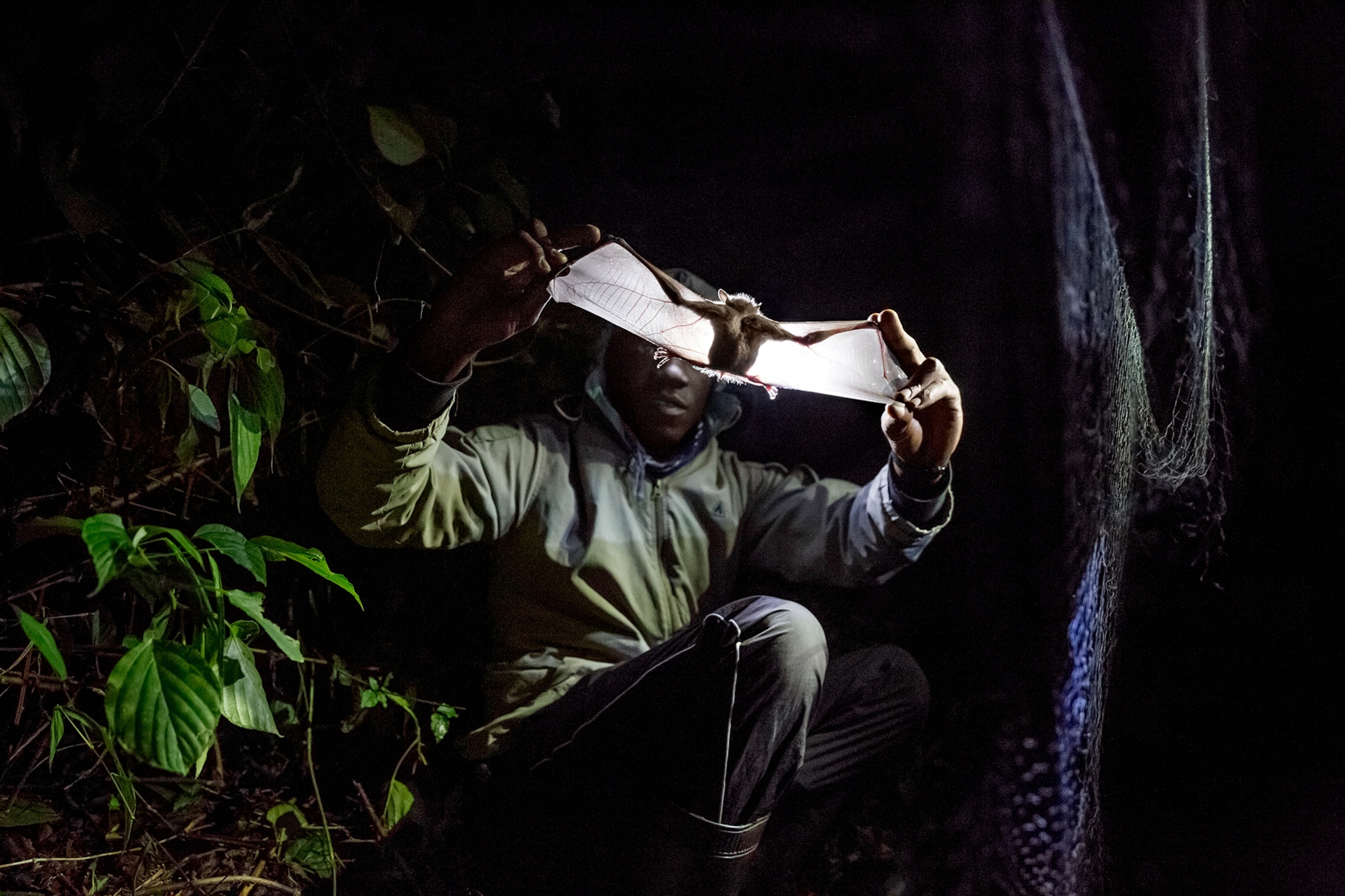 a man holding a bat that is back lit