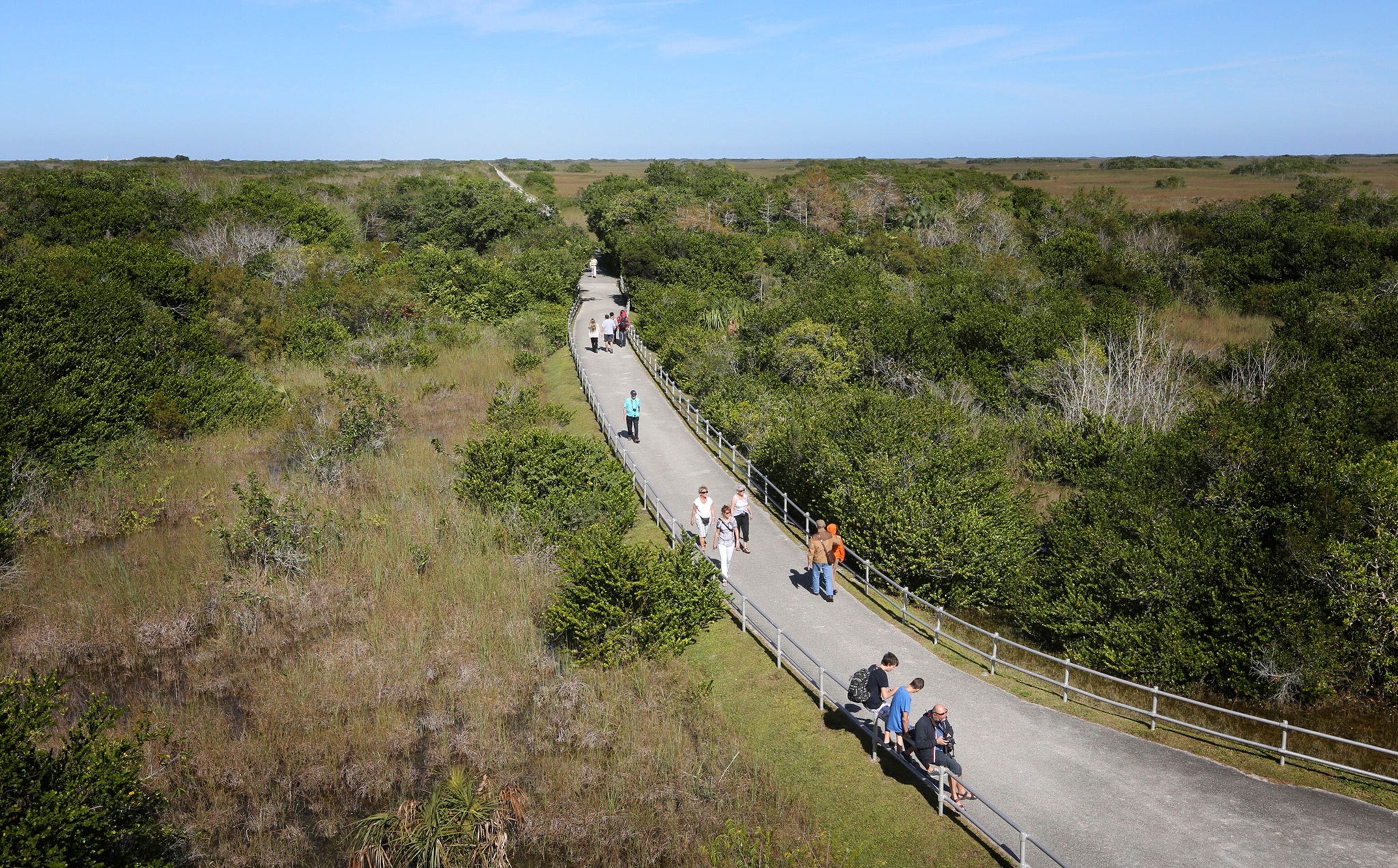 Shark Valley Trail