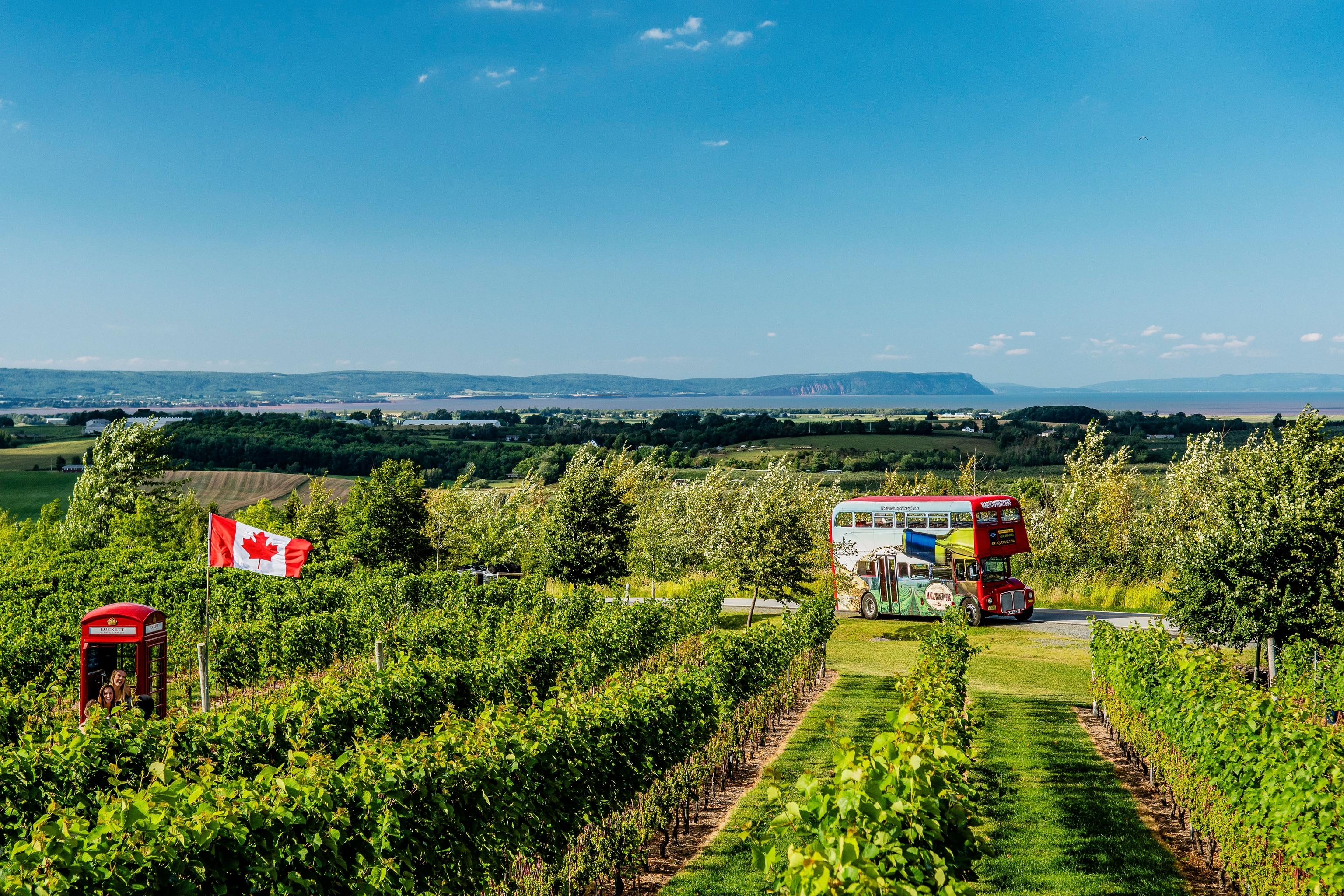 Magic winery bus in Wolfville, Nova Scotia