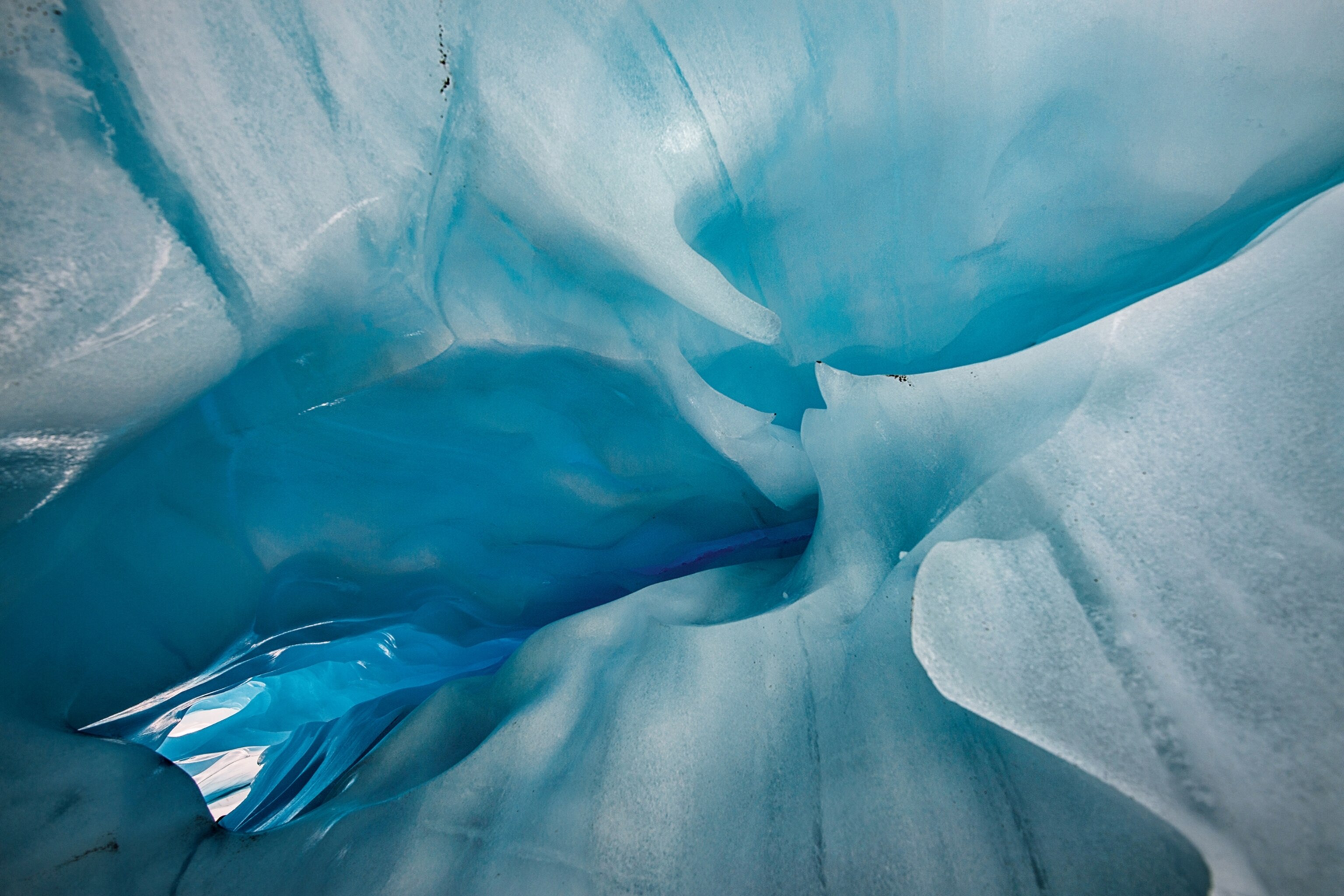 Fox Glacier