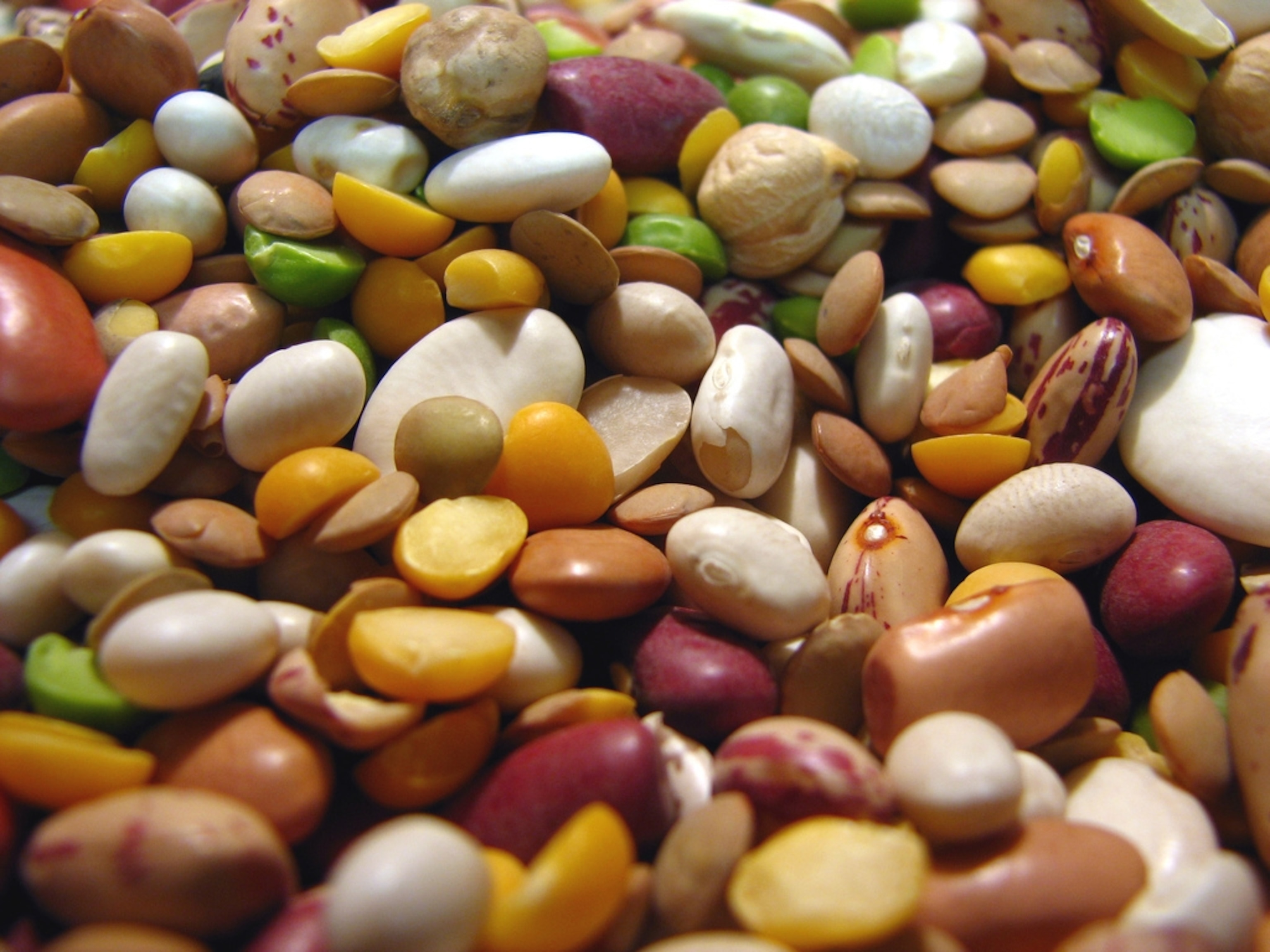 a pile of beans