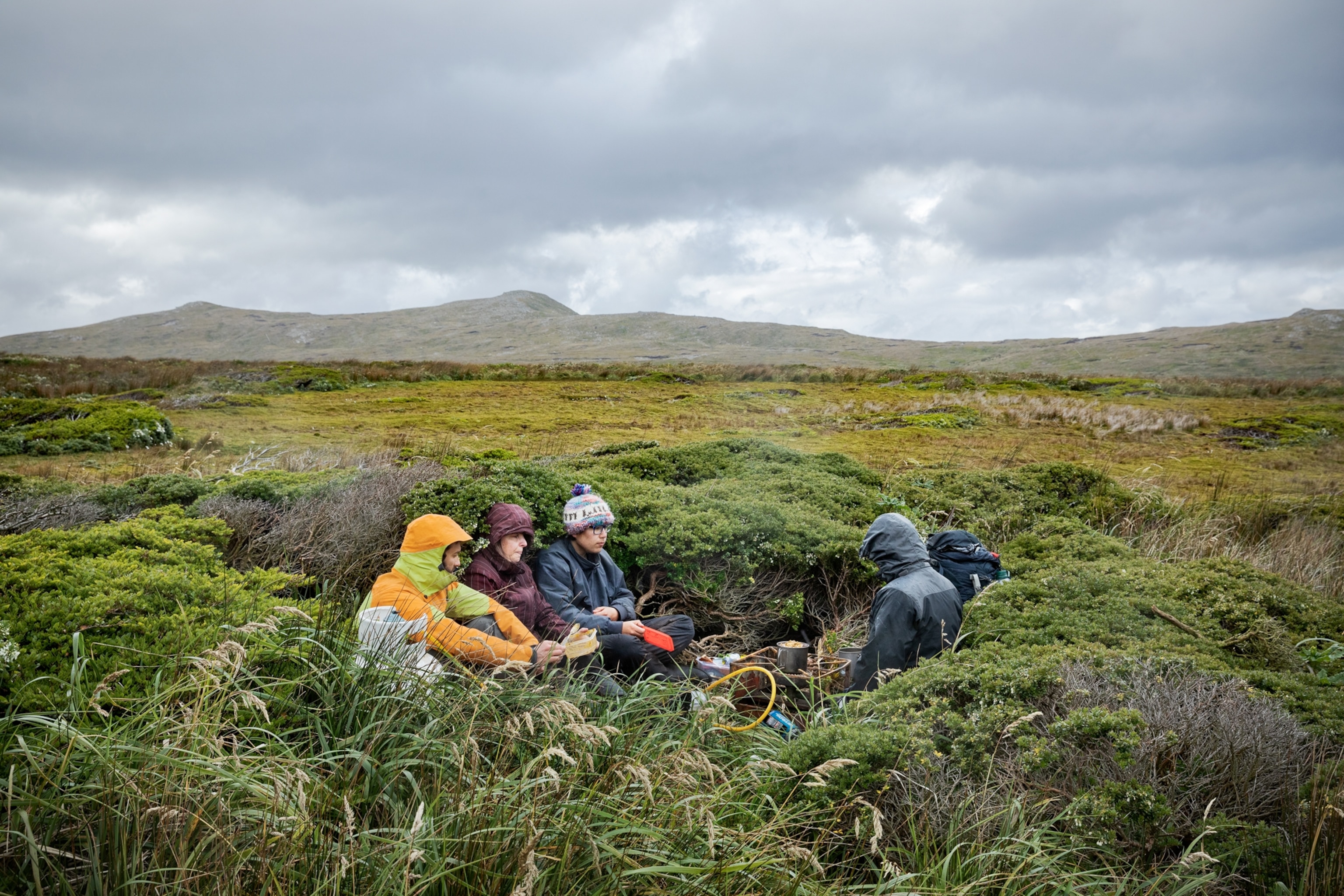 Picture of five persons sitting on ground surrounded by short shrubs.