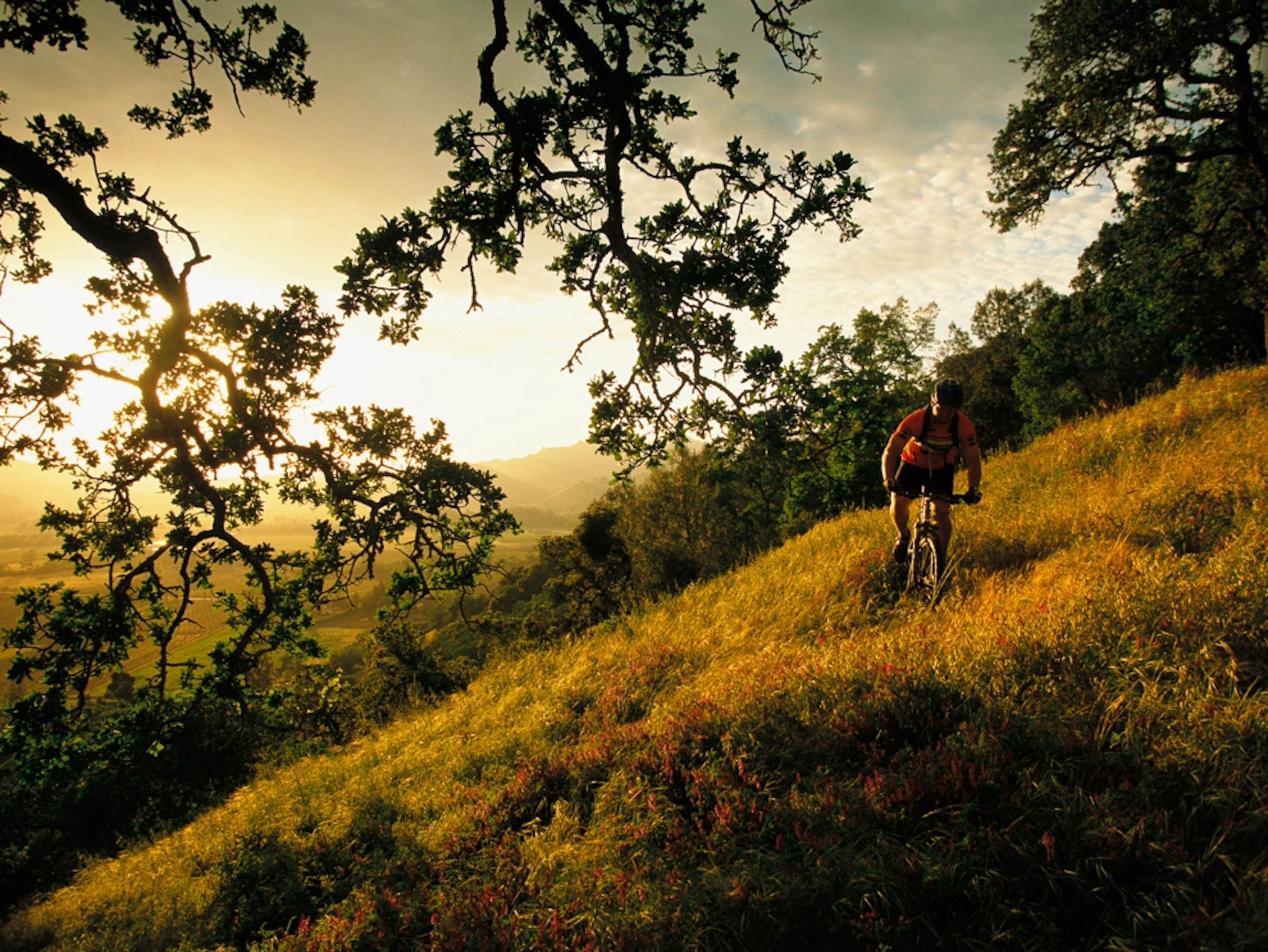 Cyclist on a grassy hillside
