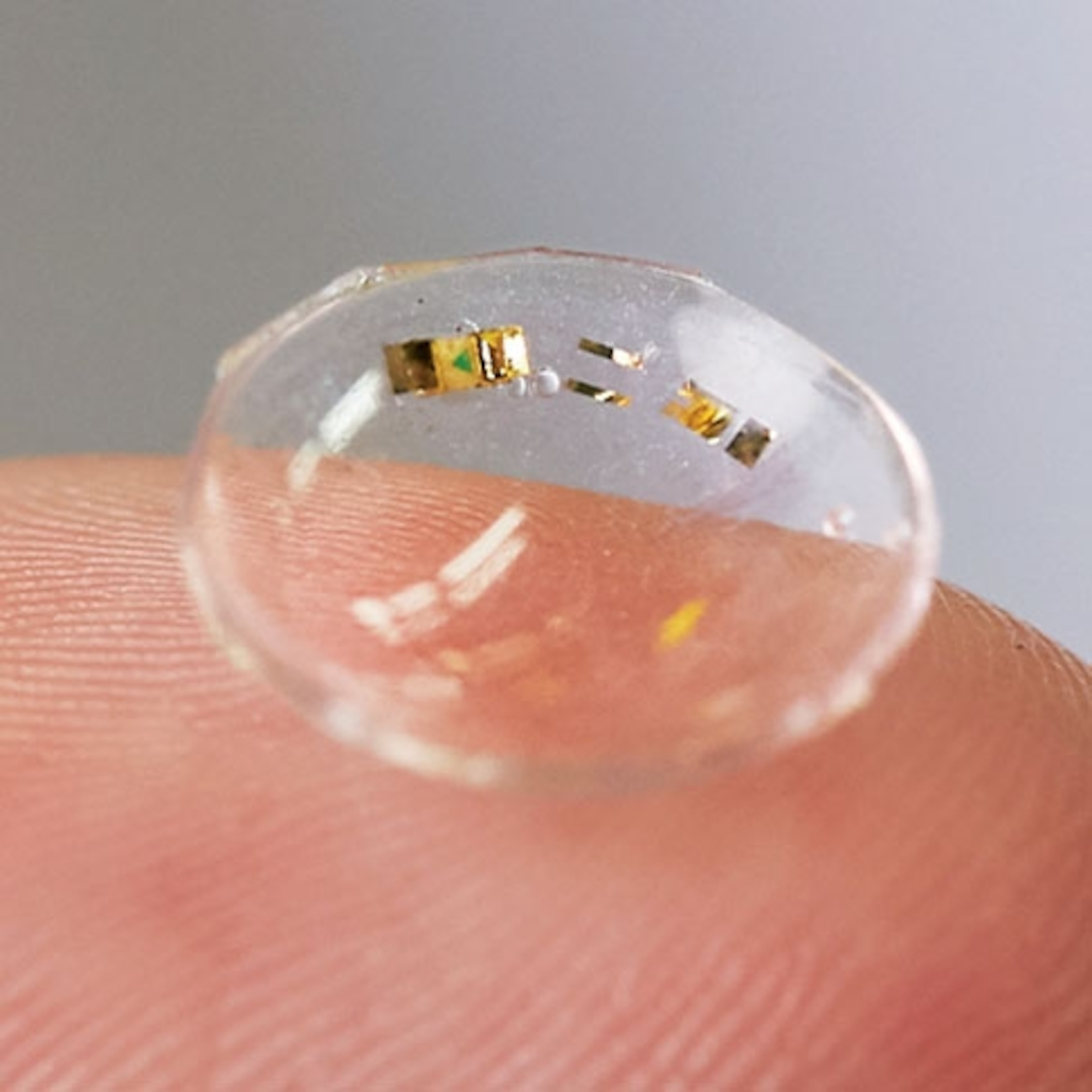 contact lenses
