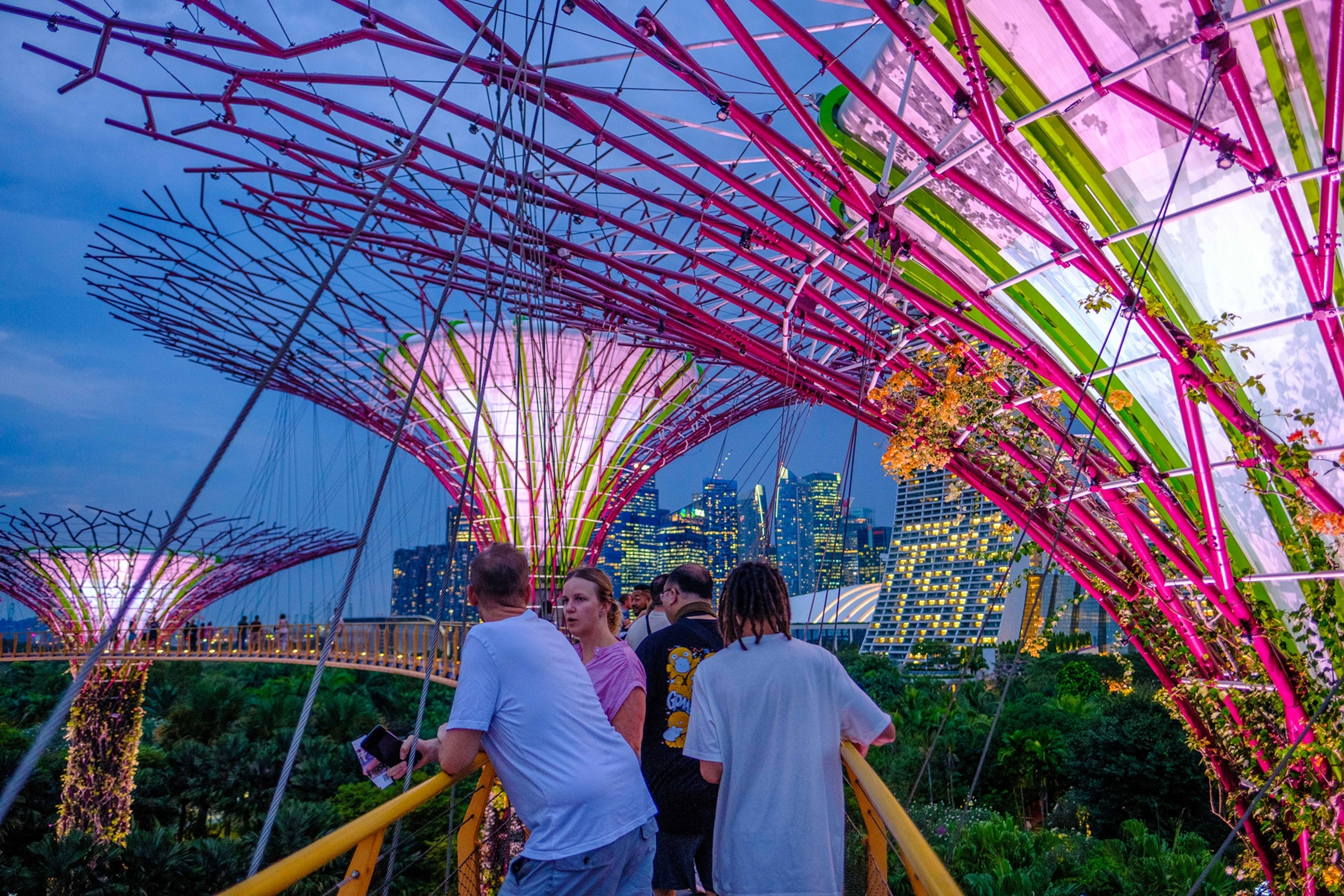 Tourists at the Gardens by the Bay in Singapore in the evening.