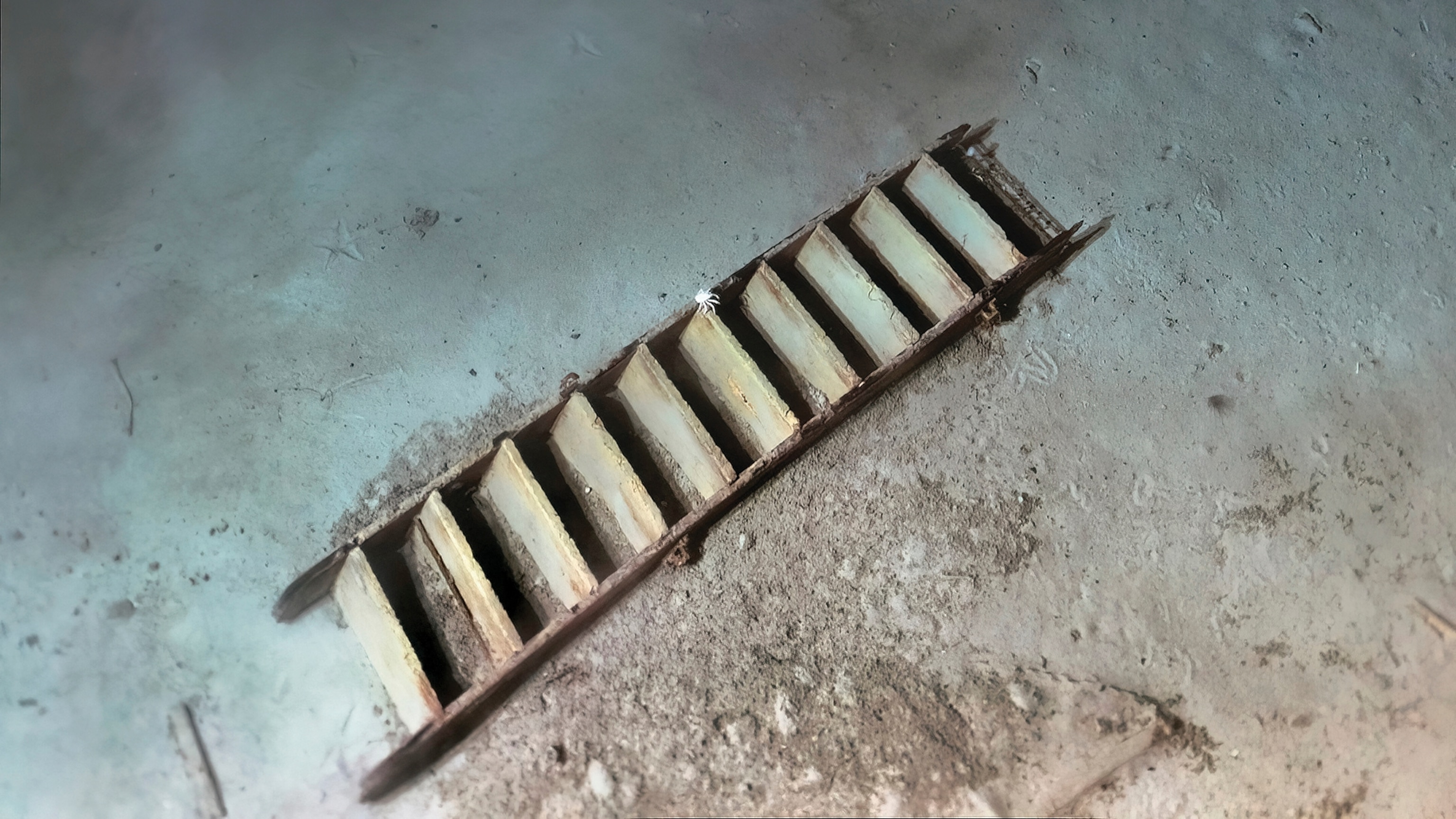 A wooden ladder lies on the Weddell Sea floor near the wreck.