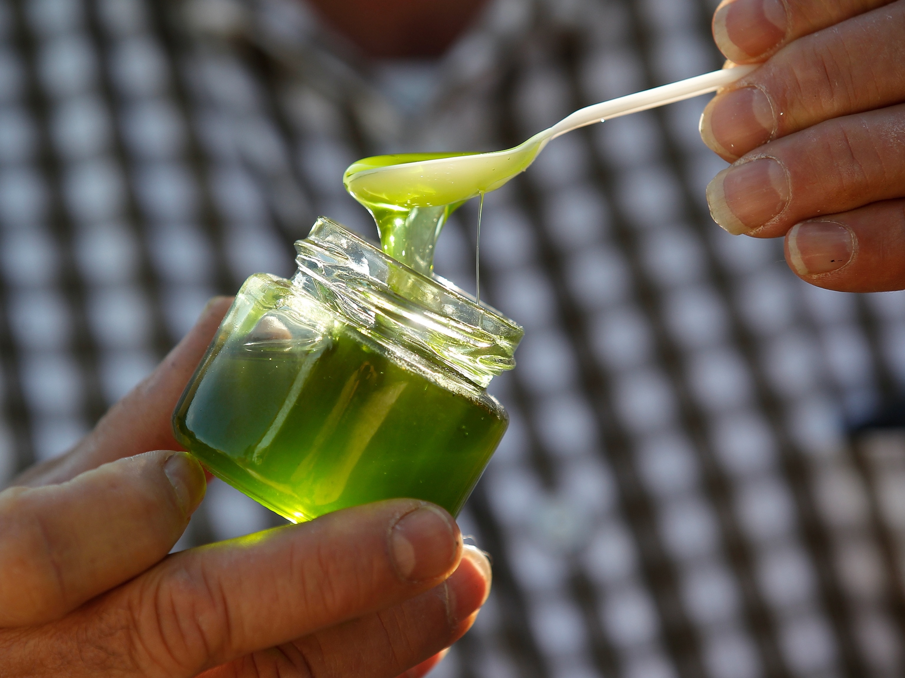 Green honey picture - created by bees that ate M&Ms;