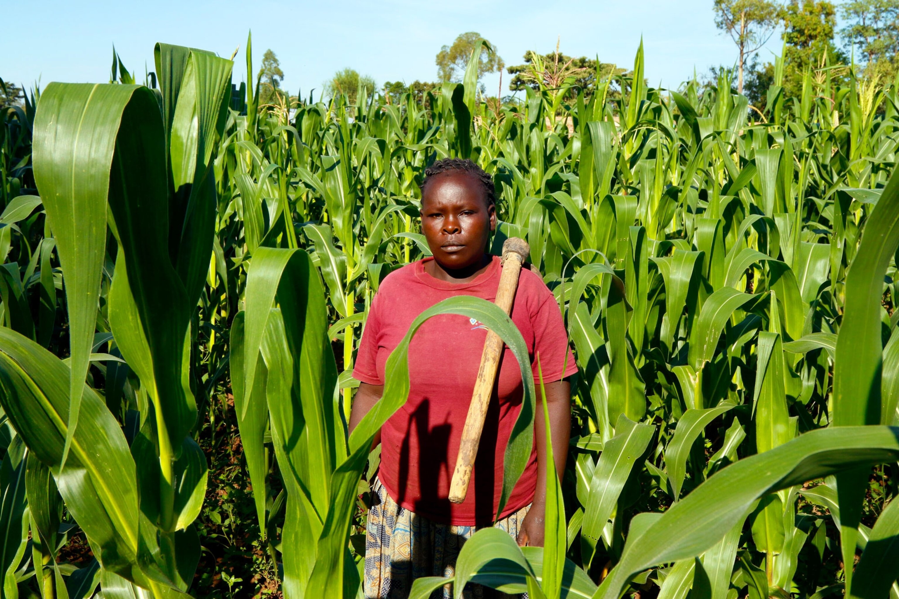 African woman in a corn field