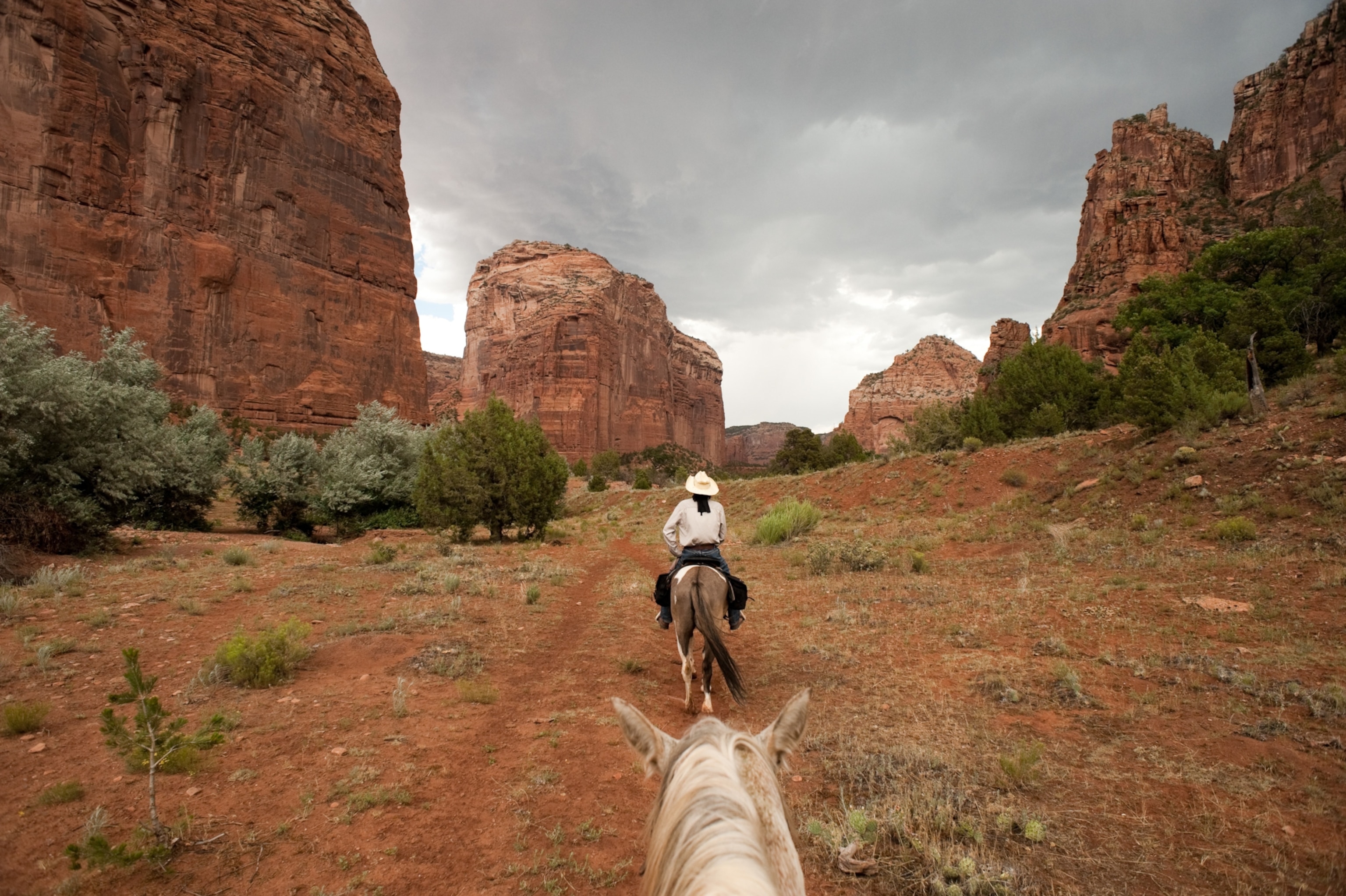 A man on horseback seen from behind while leading a tour through a rocky canyon.